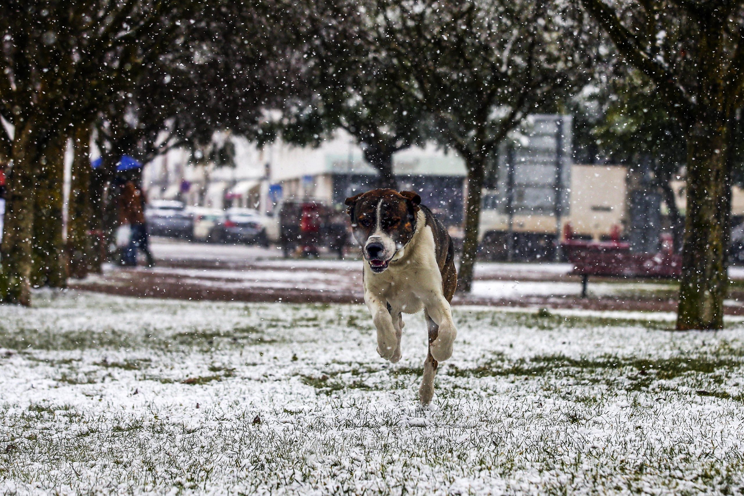 Frio mantém todos os distritos sob aviso amarelo até quarta-feira
