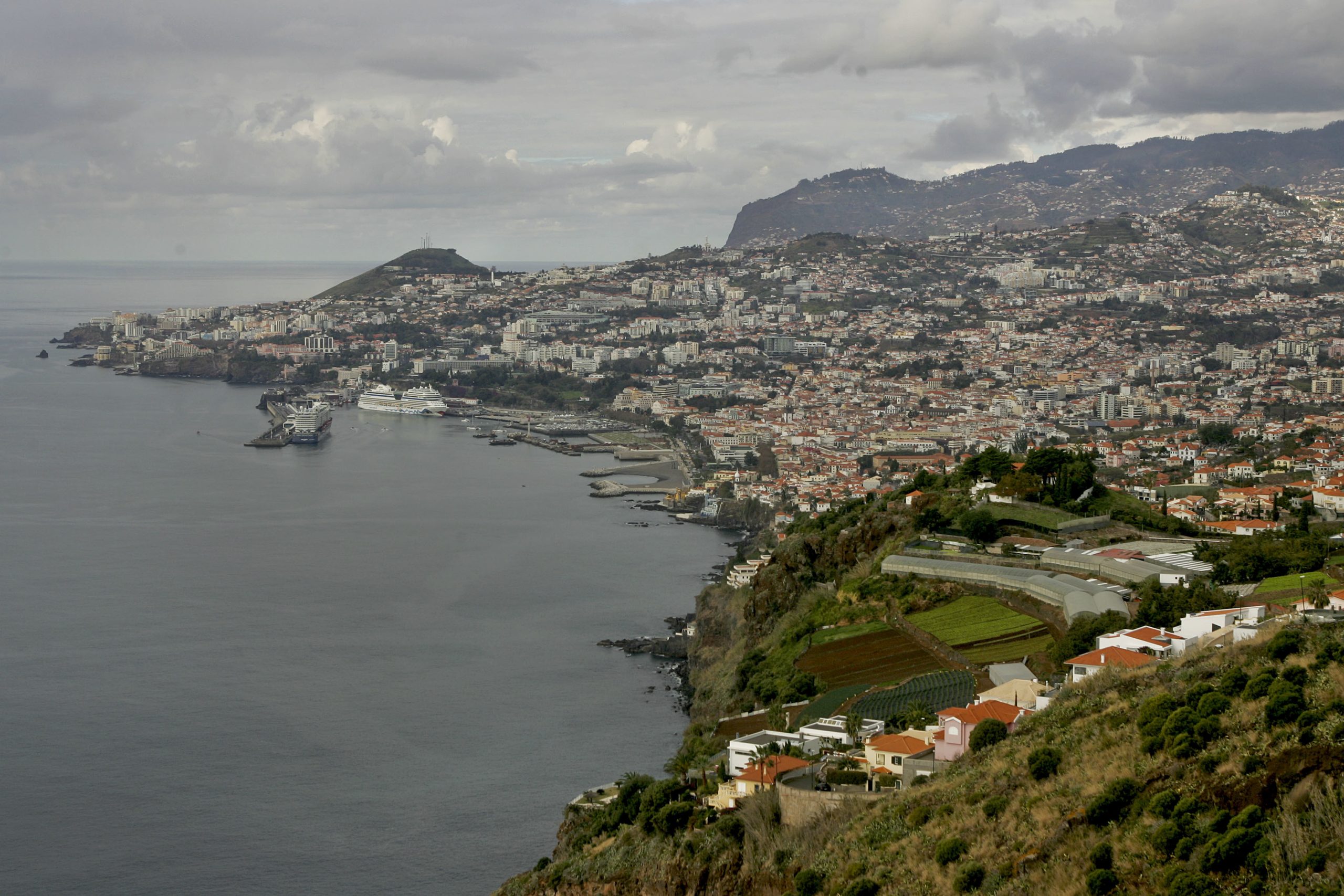 Governo da Madeira pretende erradicar Hepatite C dentro de dez anos