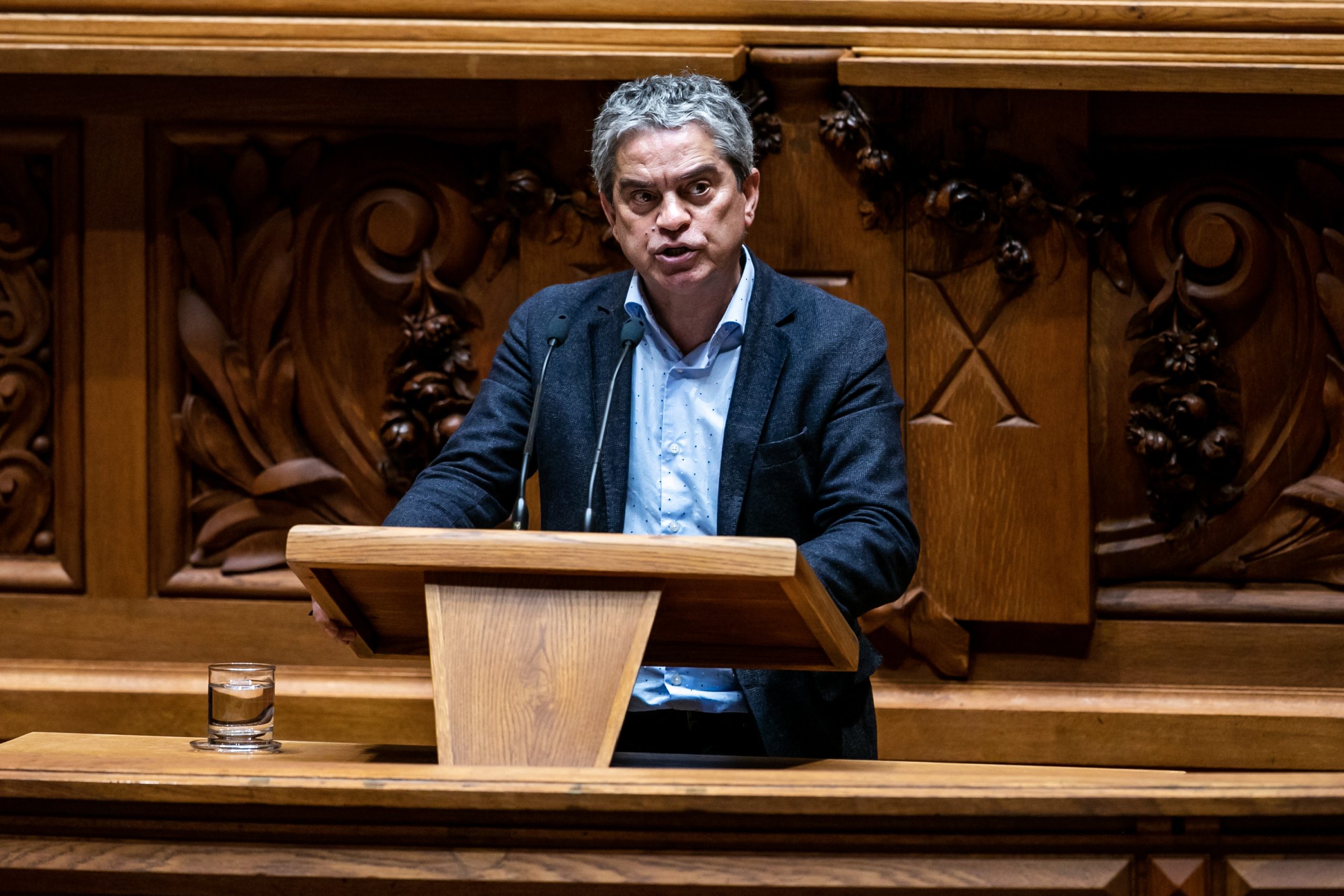 TAP: Verdes defendem que privados “não devem fazer parte da solução”