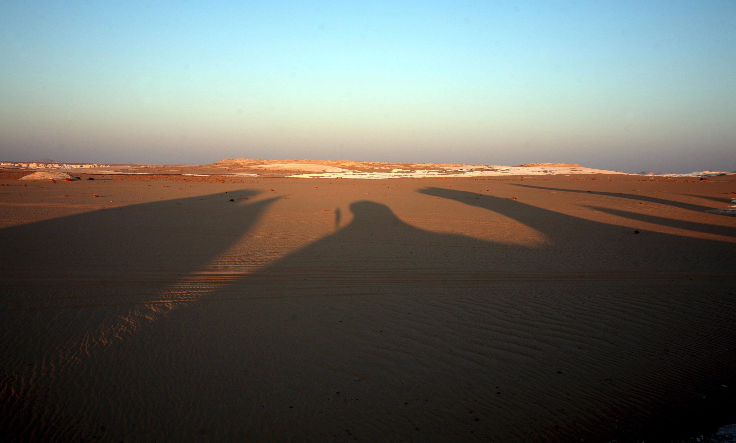 Ambiente. Estudo indica que parques eólicos e solares poderiam aumentar chuvas no deserto do Saara