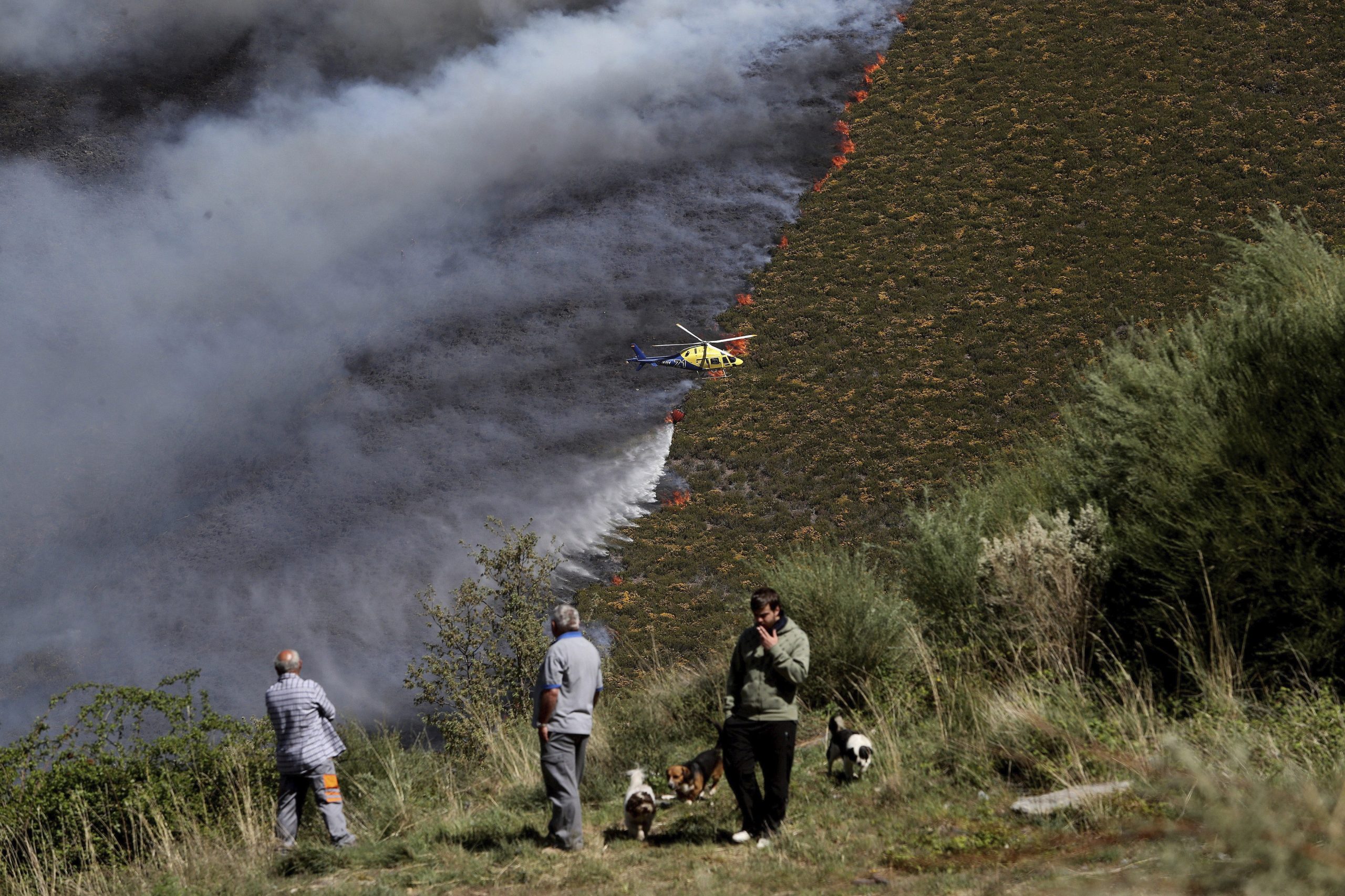 Mais de 60 bombeiros combatem chamas em Pataias