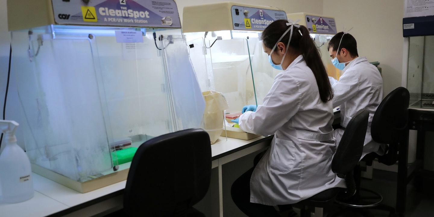 Estudo estima que 15,6 milhões de pessoas no mundo terão cancro gástrico