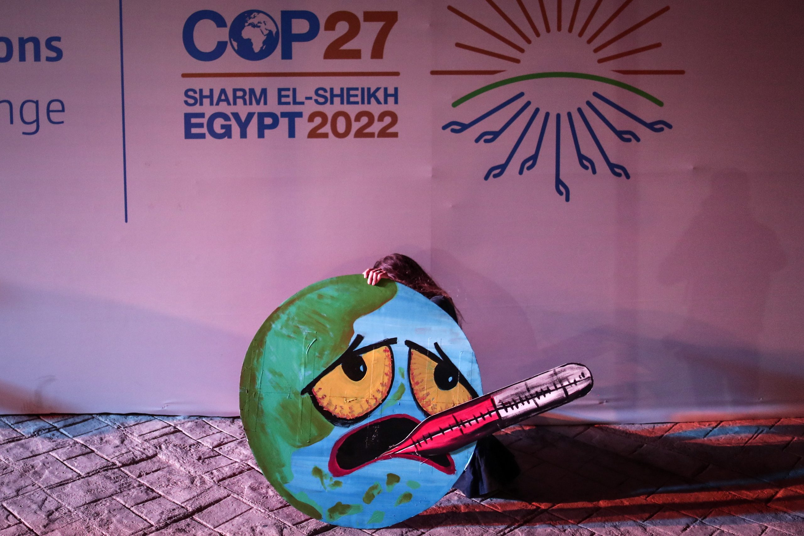 COP27: Humanidade “marcou passo”, diz associação Quercus