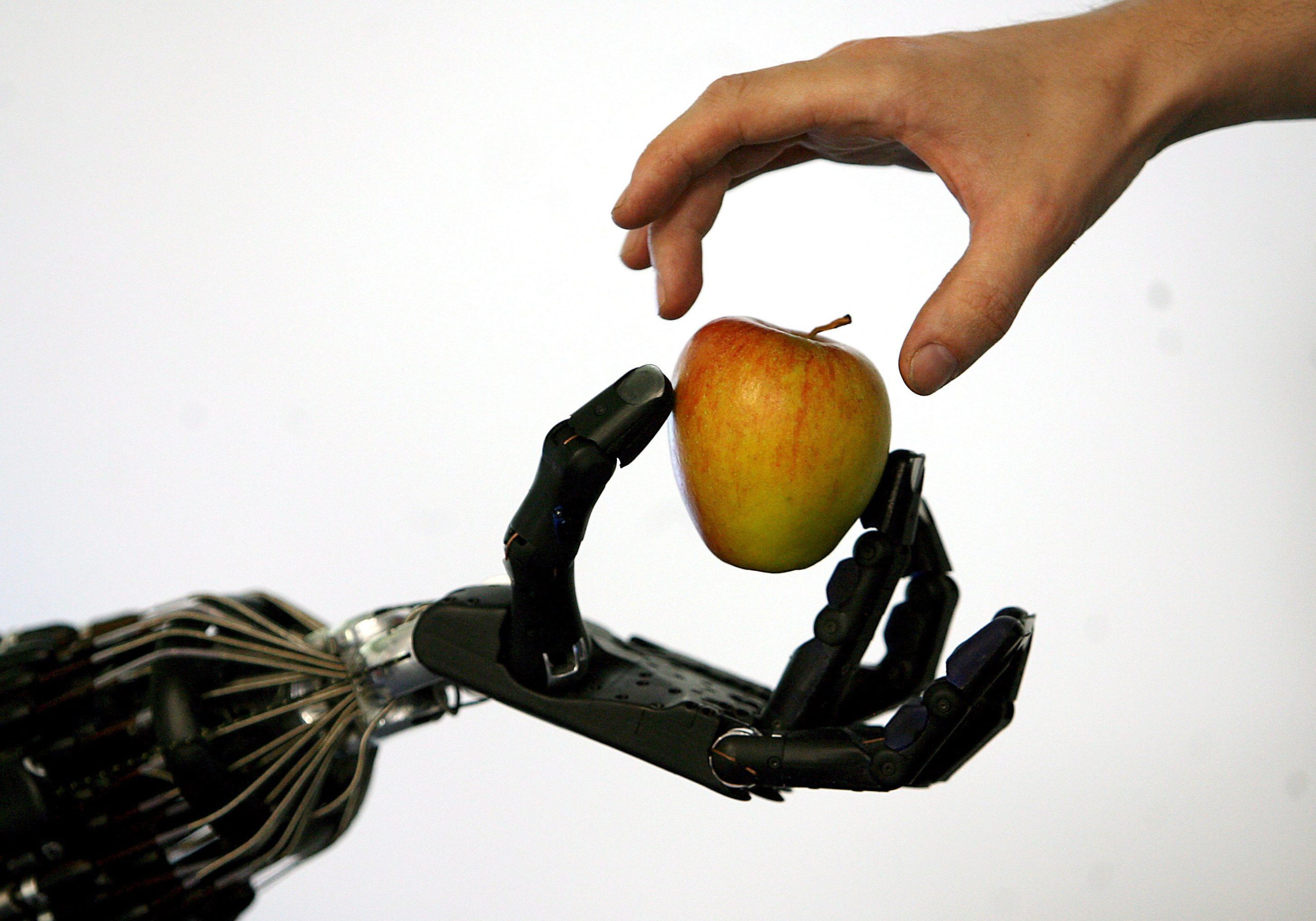 Grande desafio da Inteligência Artificial é neutralidade na regulamentação