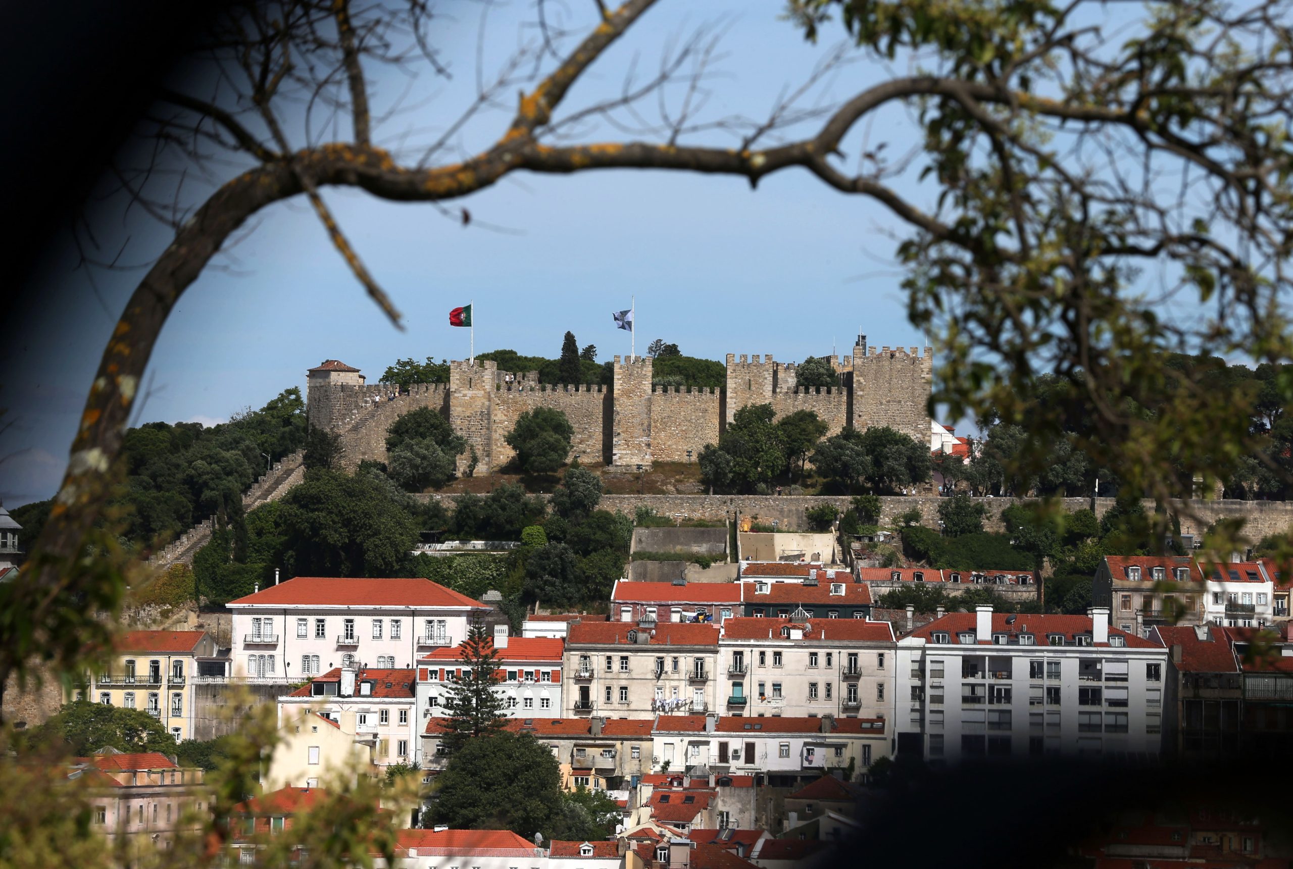 Maria Antónia Amaral é a nova diretora do Castelo de São Jorge