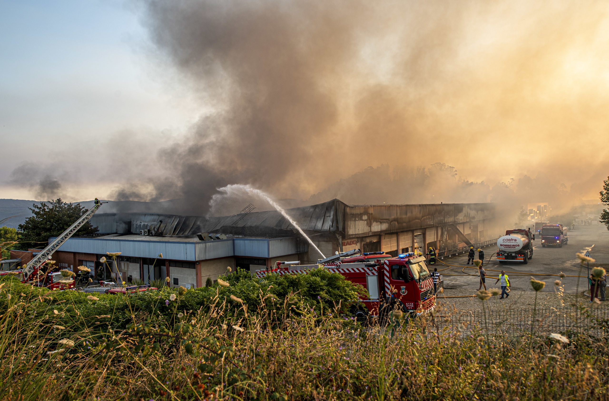 Catarina Martins defende apoios para manter empregos em Castelo de Paiva após incêndio