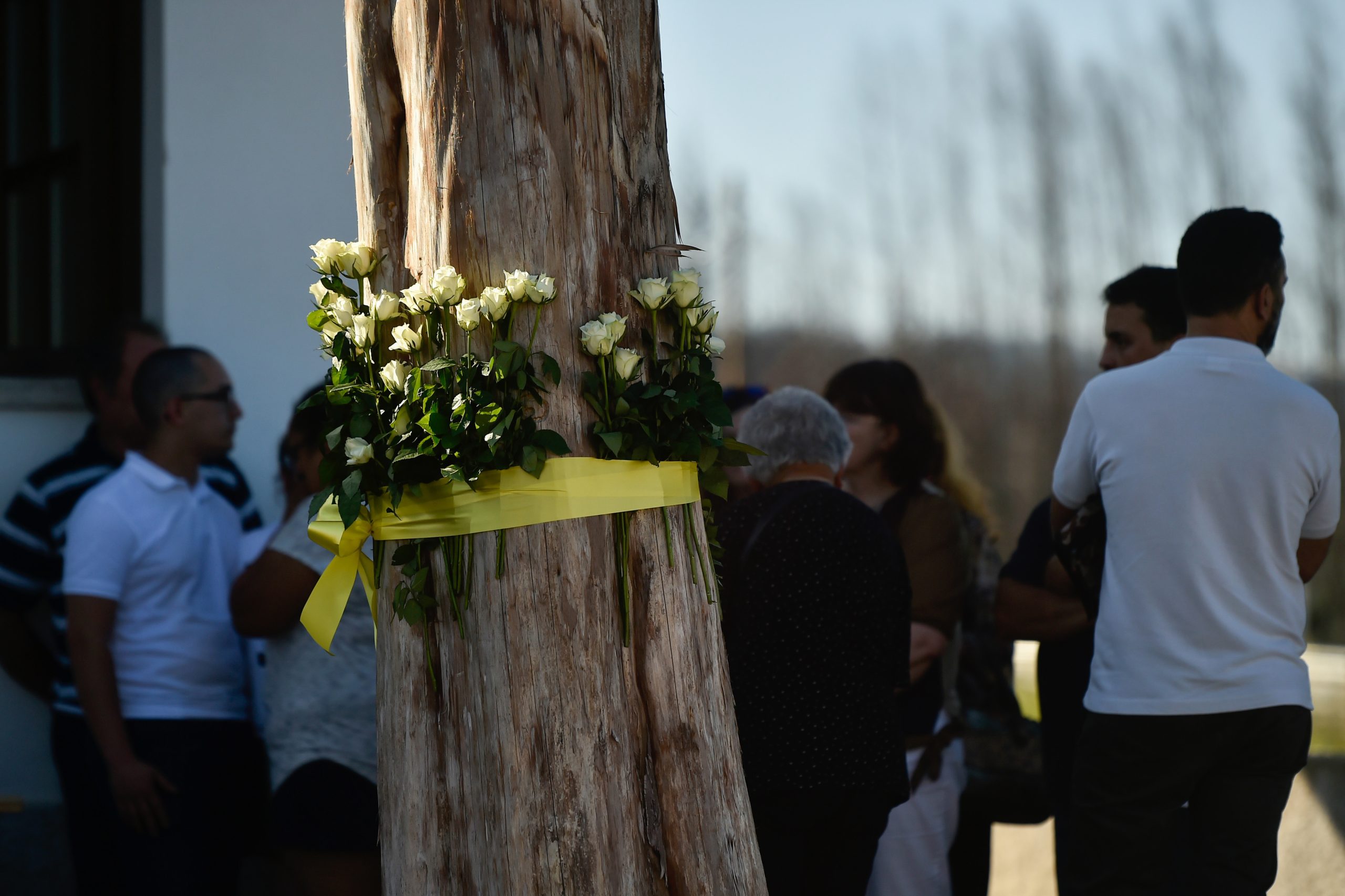 Lançado concurso para a construção do memorial às vítimas do incêndio de Pedrógão Grande