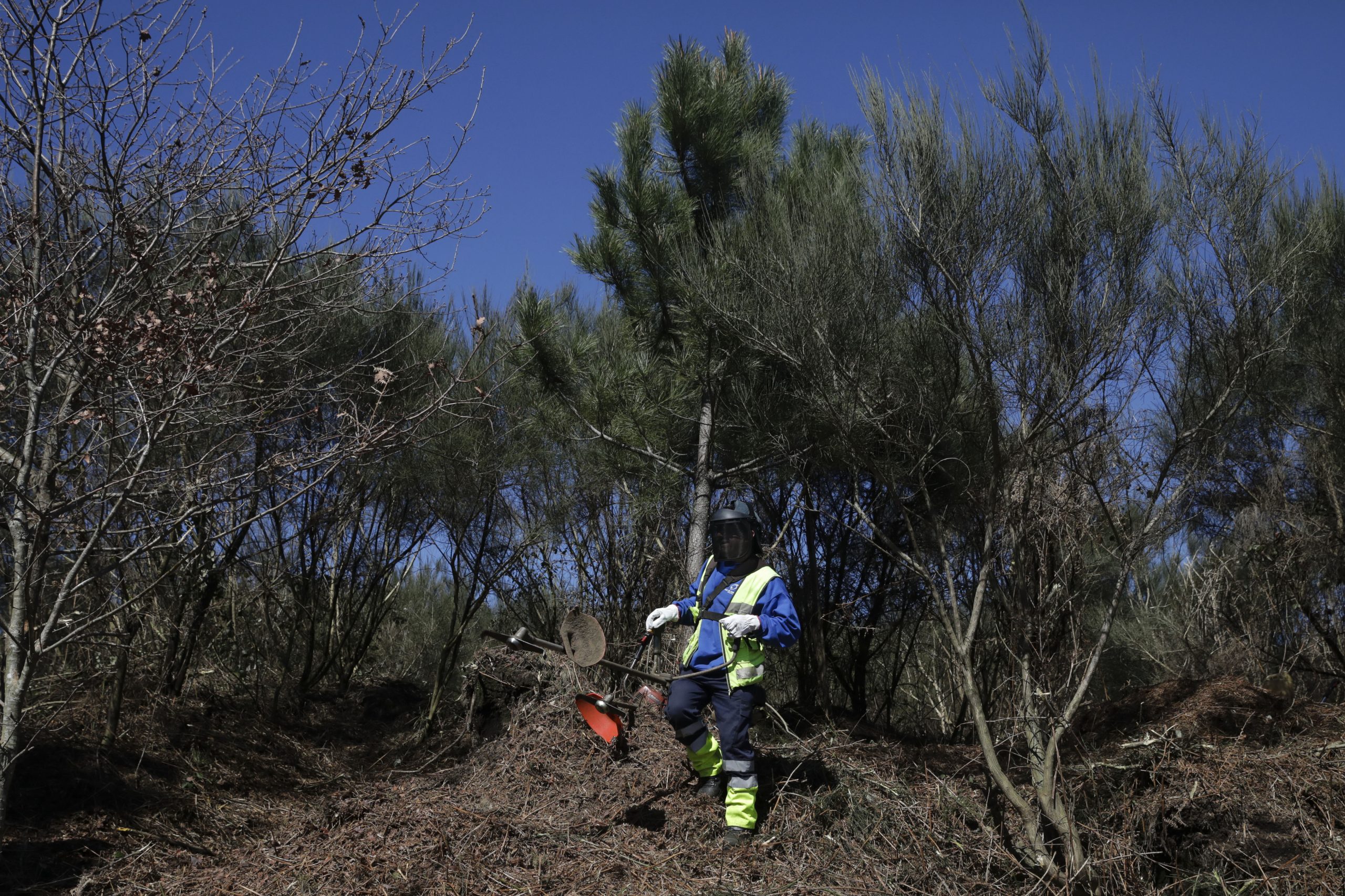 Municípios destacam melhoria sucessiva das condições para limpeza dos terrenos
