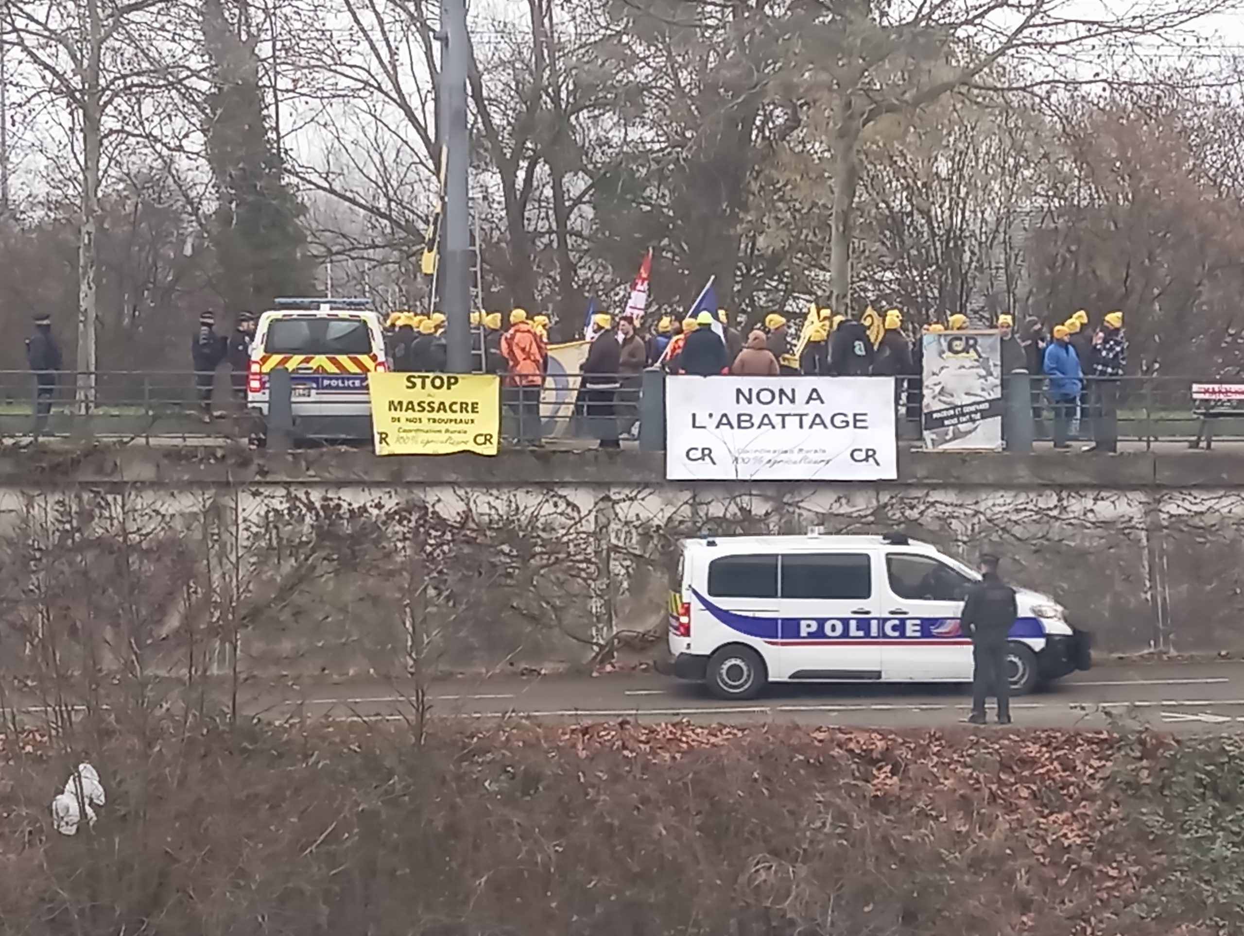 Agricultores invadem Estrasburgo em protesto contra acordo UE-Mercosul