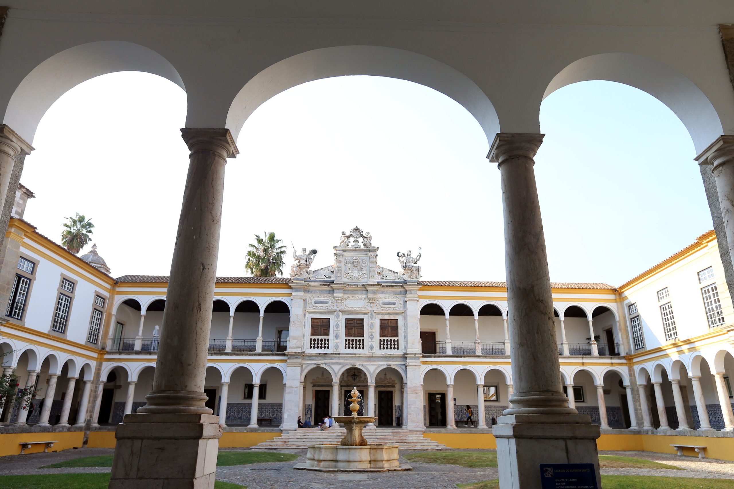 Universidade de Évora faz testes serológicos a trabalhadores e investigadores