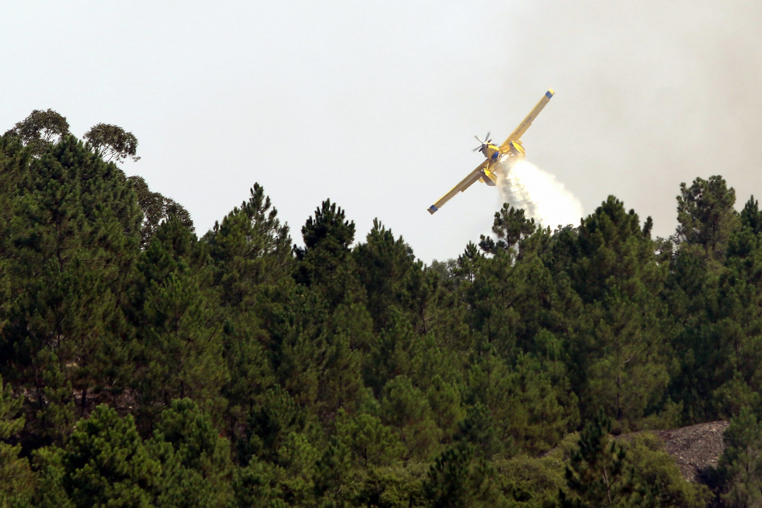Incêndios: Dois fogos em Castelo Branco mobilizam 160 bombeiros e nove meios aéreos