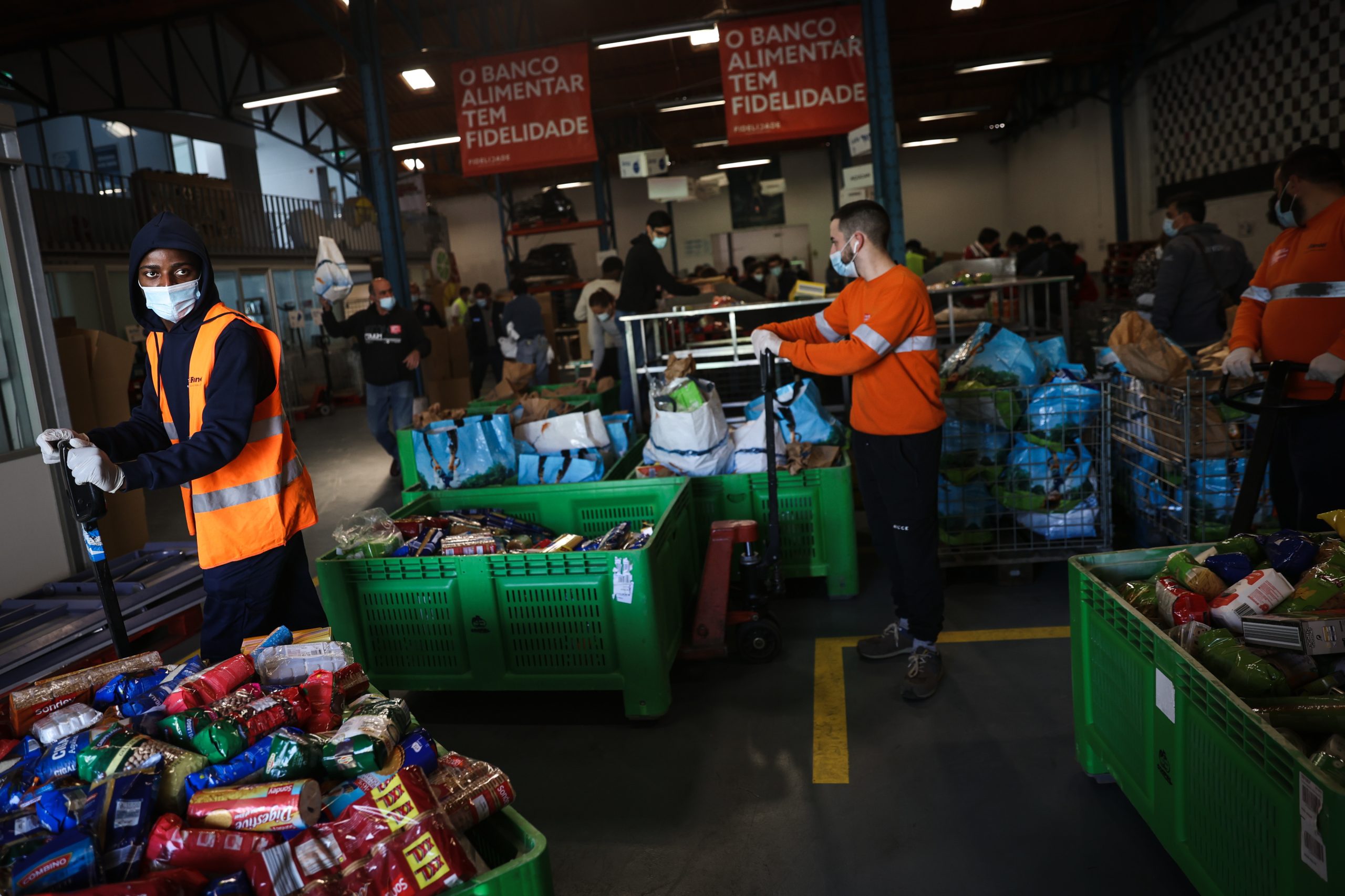 Campanha dos Bancos Alimentares contra a Fome recolhe 2.086 toneladas de alimentos