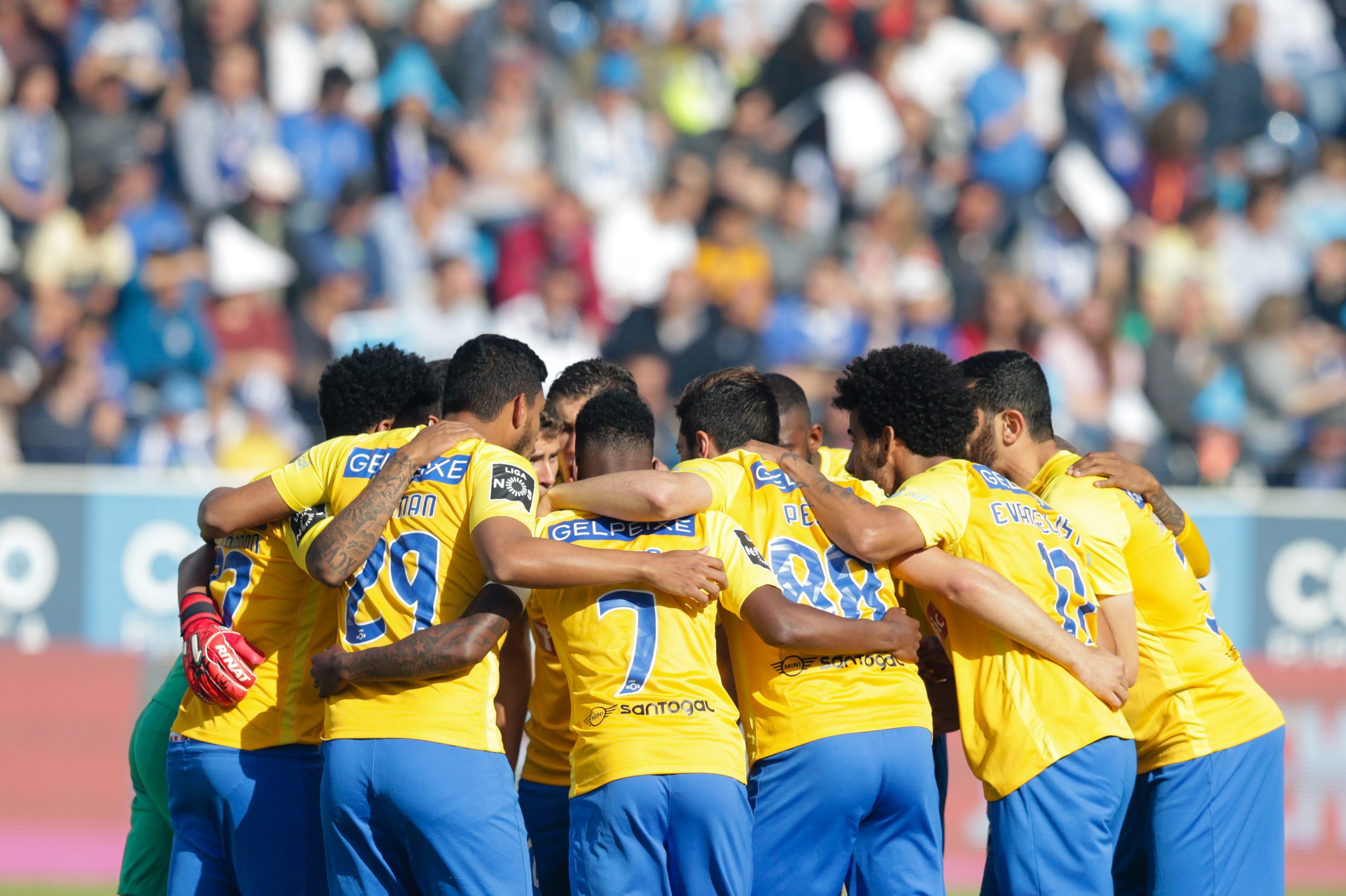 Luís Freire apresentado no Estoril com ambição de devolver o clube à I Liga