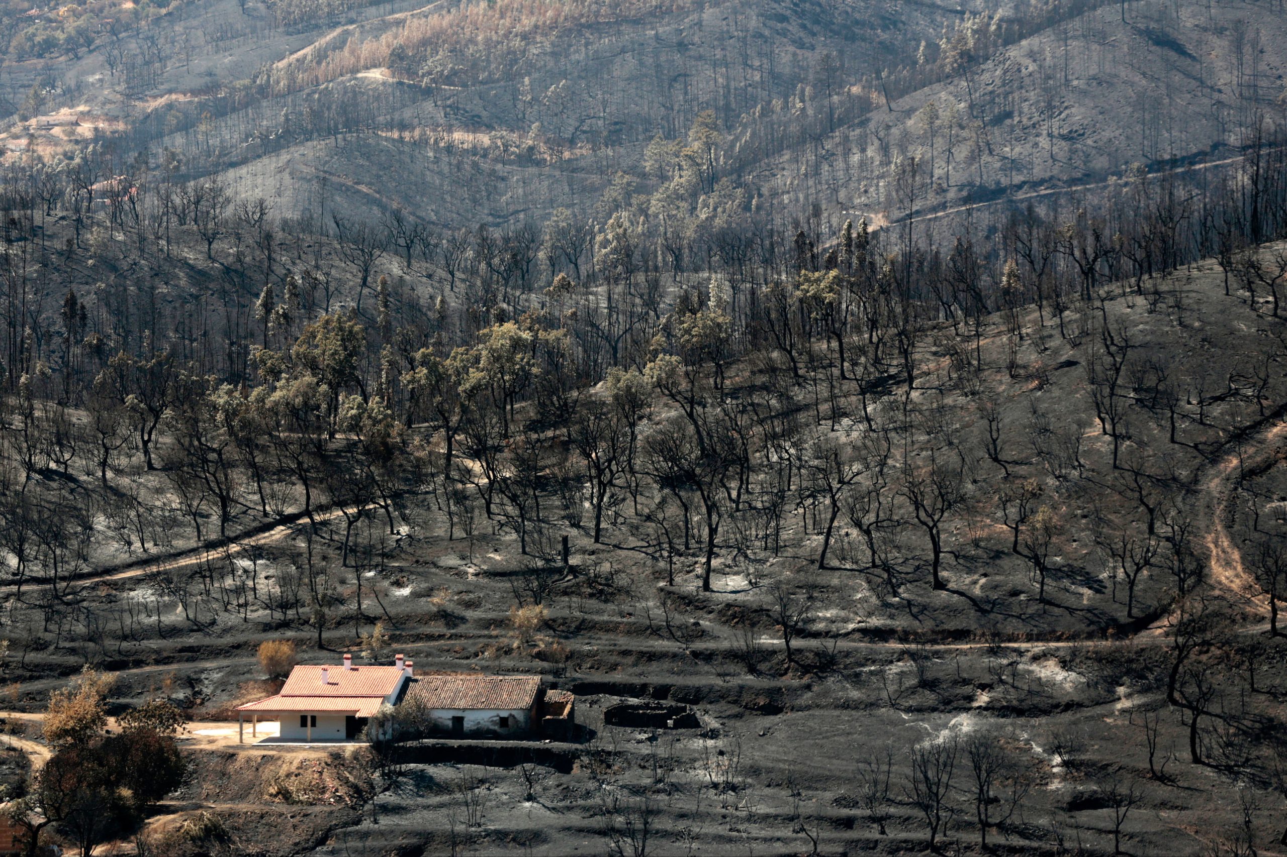 Incêndios. Aprovados diplomas sobre defesa da floresta e valorização do território