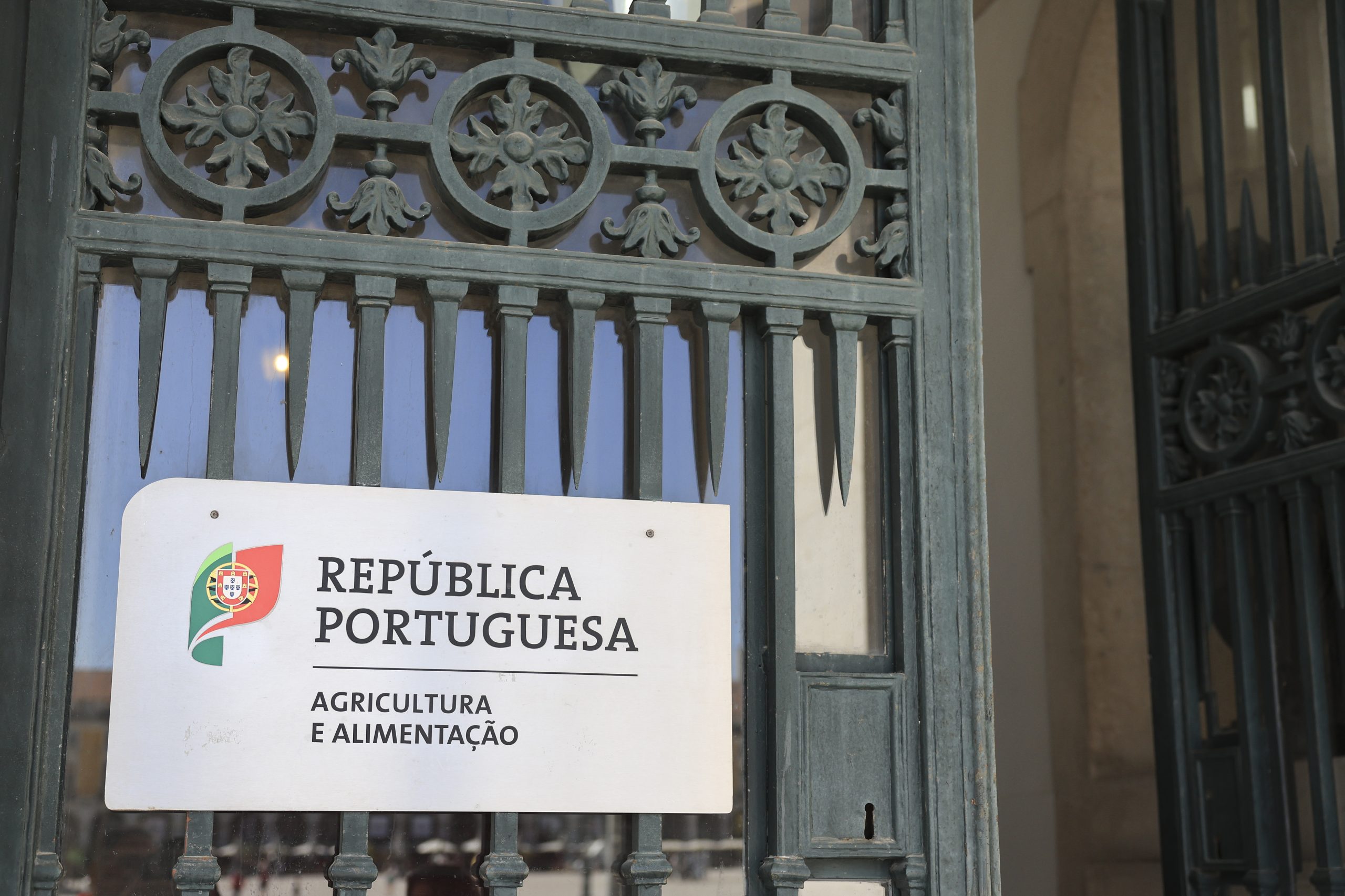 Ministério da Agricultura deverá “retomar gradualmente estruturas que perdeu”