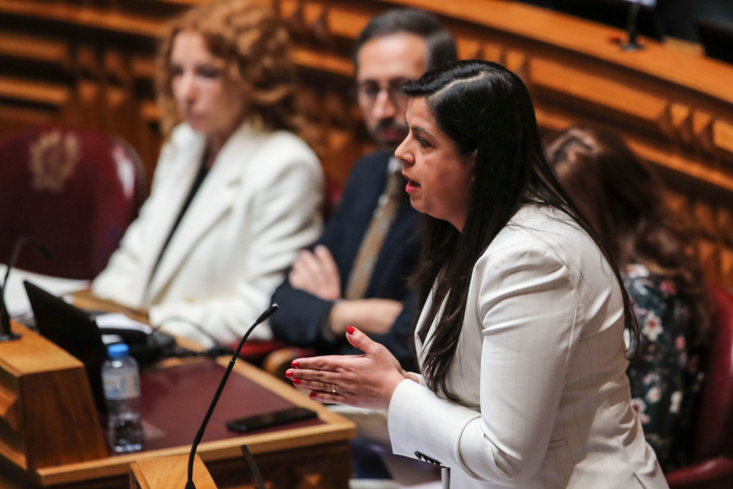 OE2022: Deputada única do PAN vai abster-se na votação na generalidade