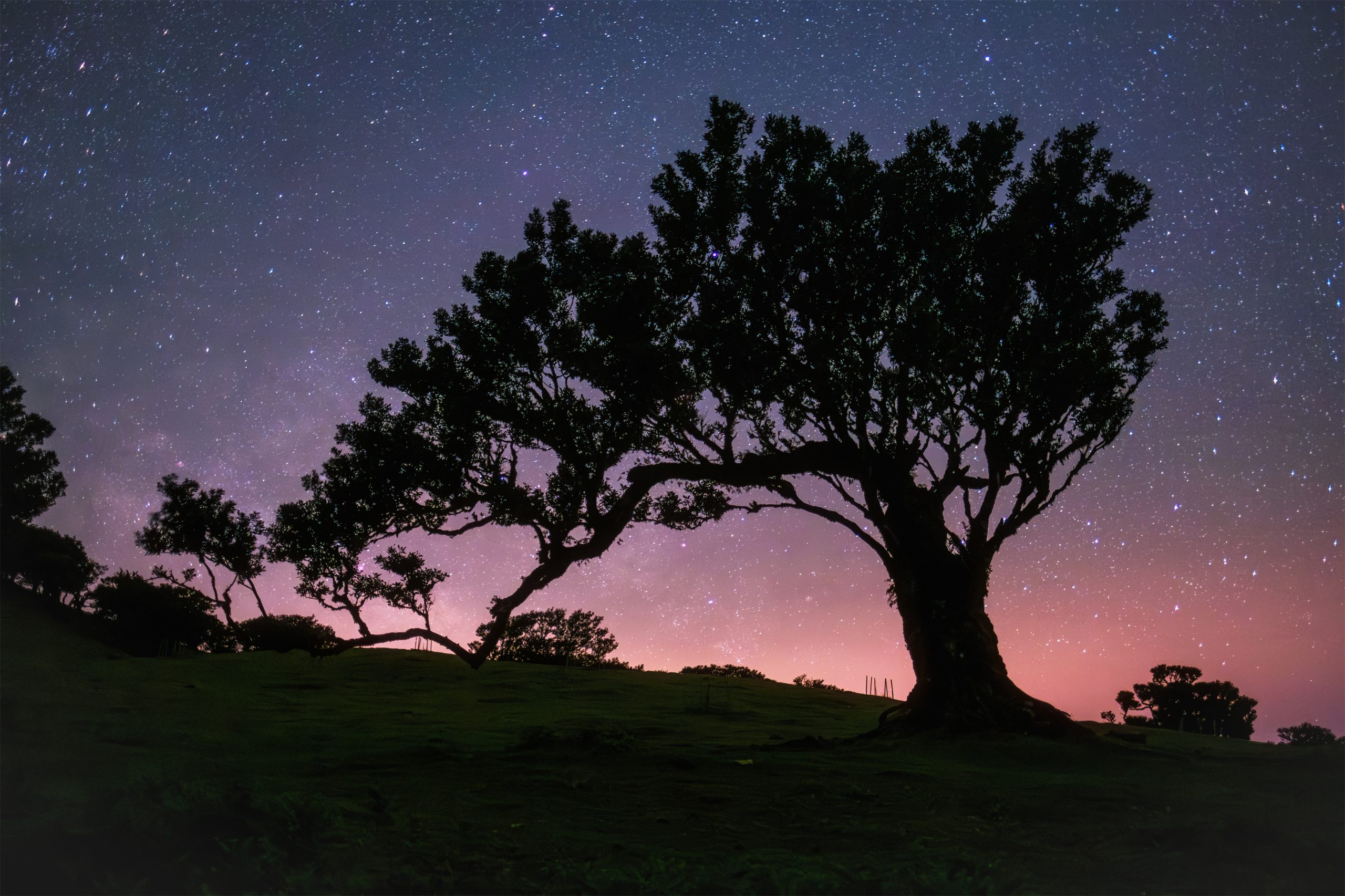 O que podemos ver nos céus nas noites gélidas e serenas de janeiro