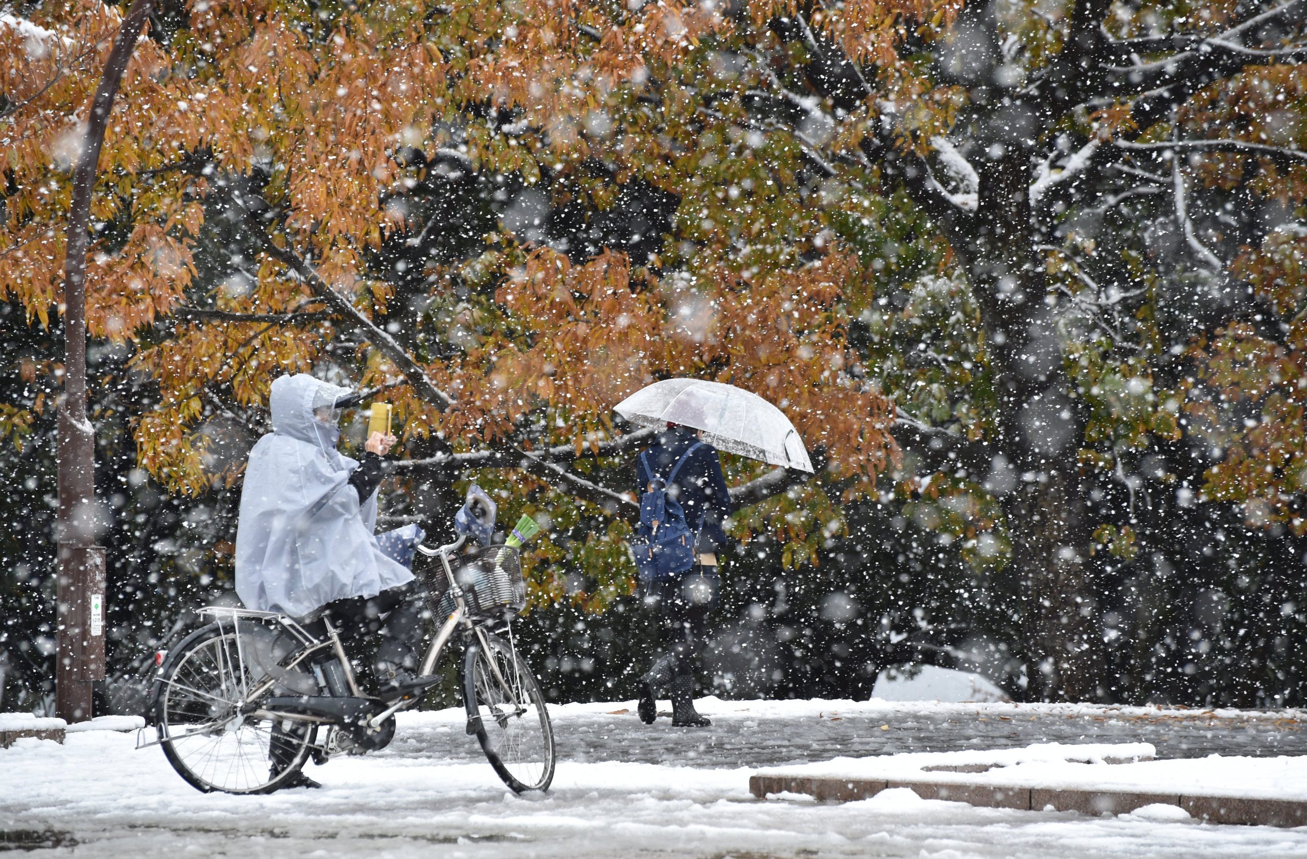 Tóquio com neve em novembro pela primeira vez em 54 anos