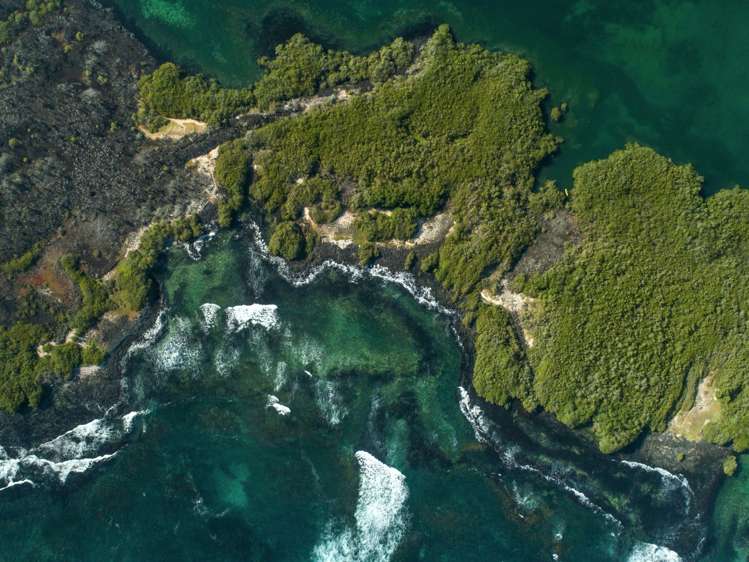 Galápagos