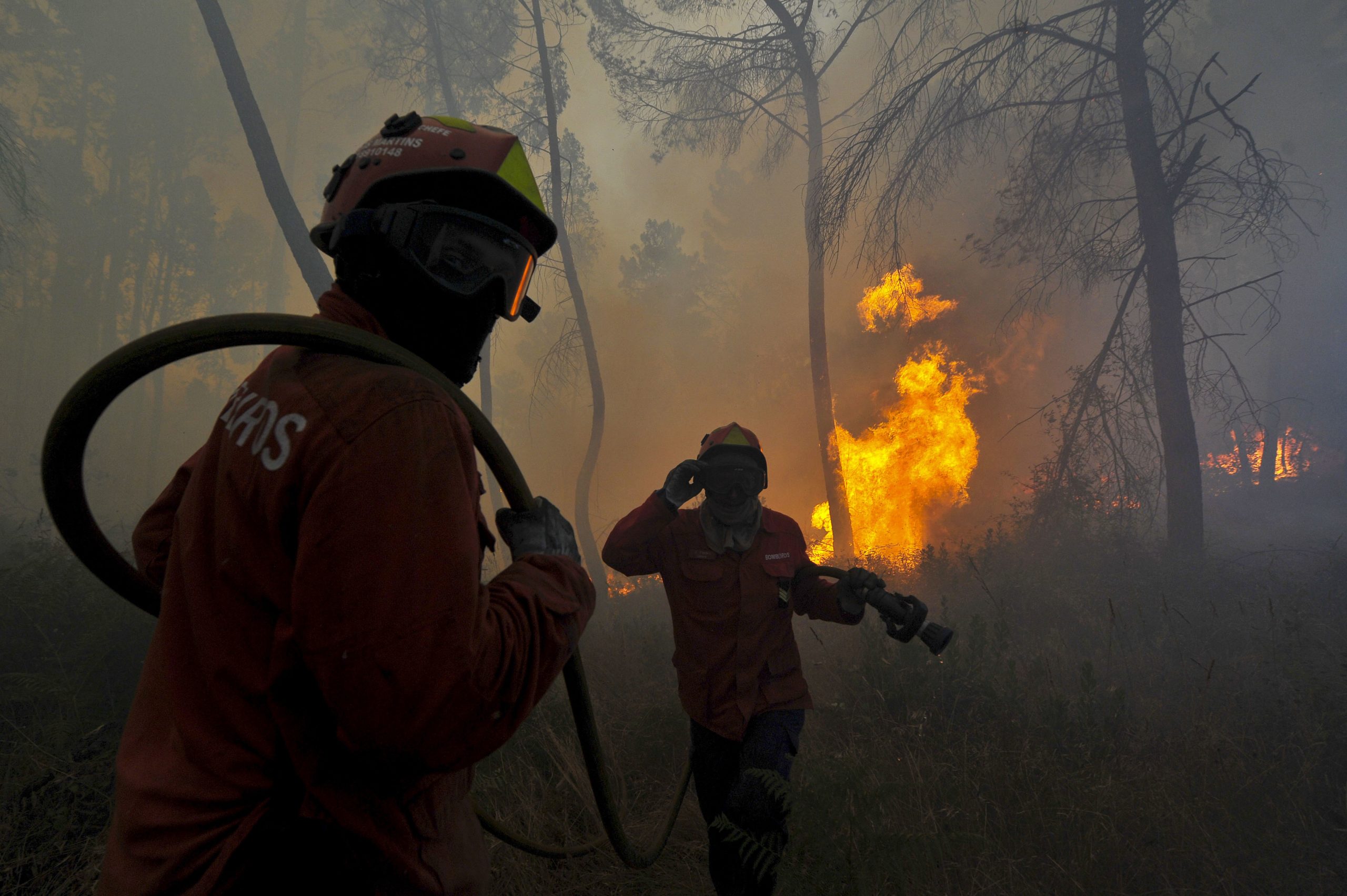 Fogo em Nelas leva a deslocar 16 pessoas das suas residências