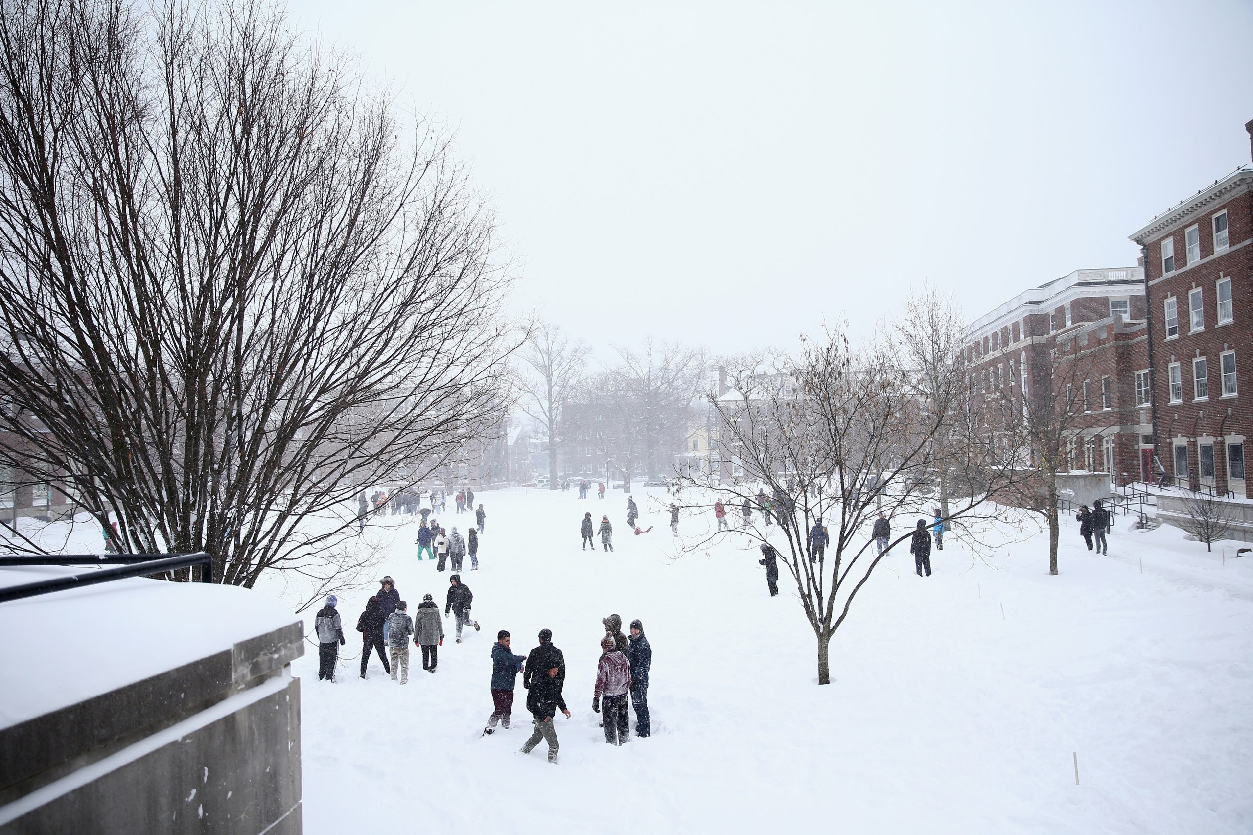 Quem aprende a ler será livre para sempre (ou uma volta de Inverno em Massachusetts)