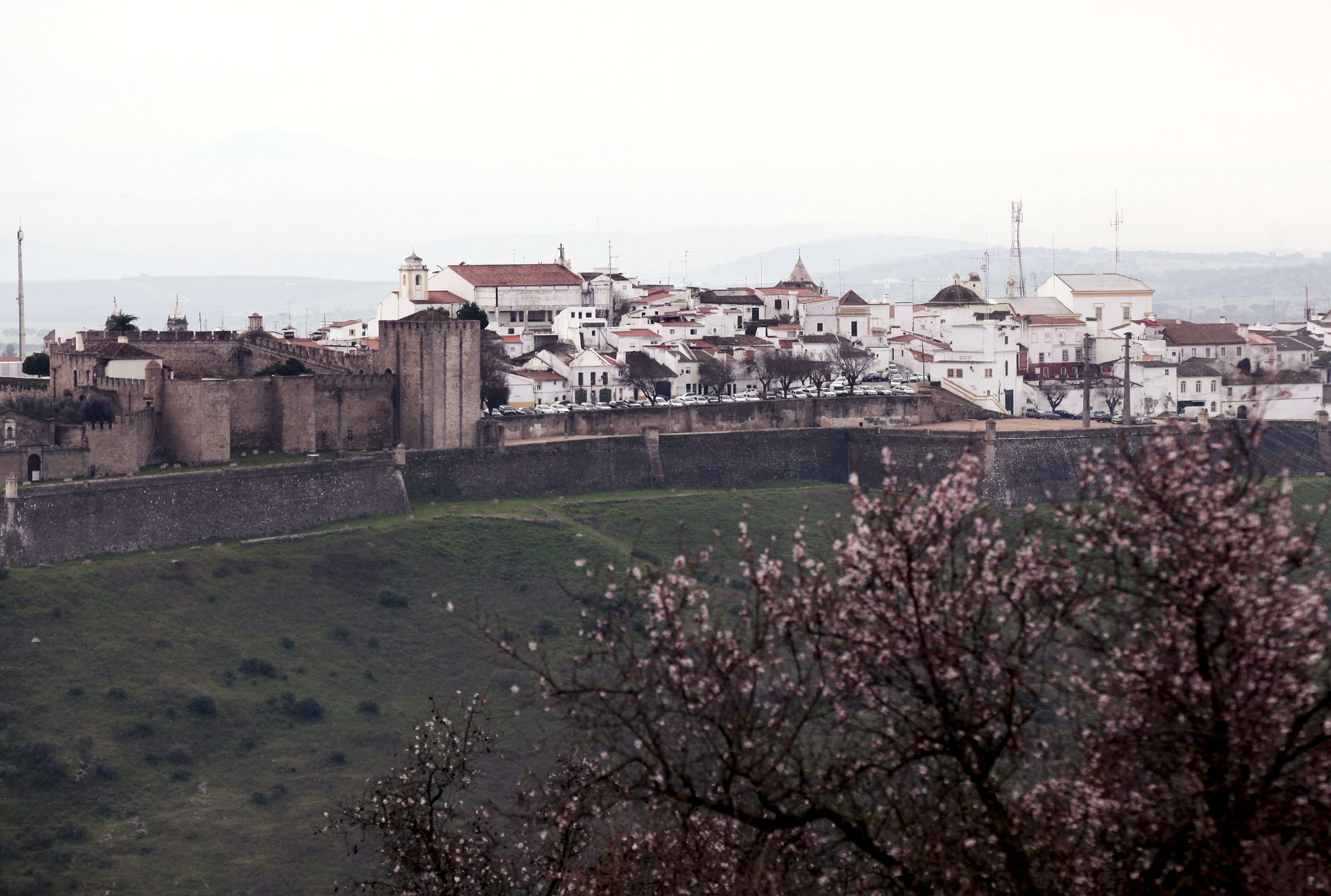 Celebrar o folclore em Elvas. Festival começa sexta-feira