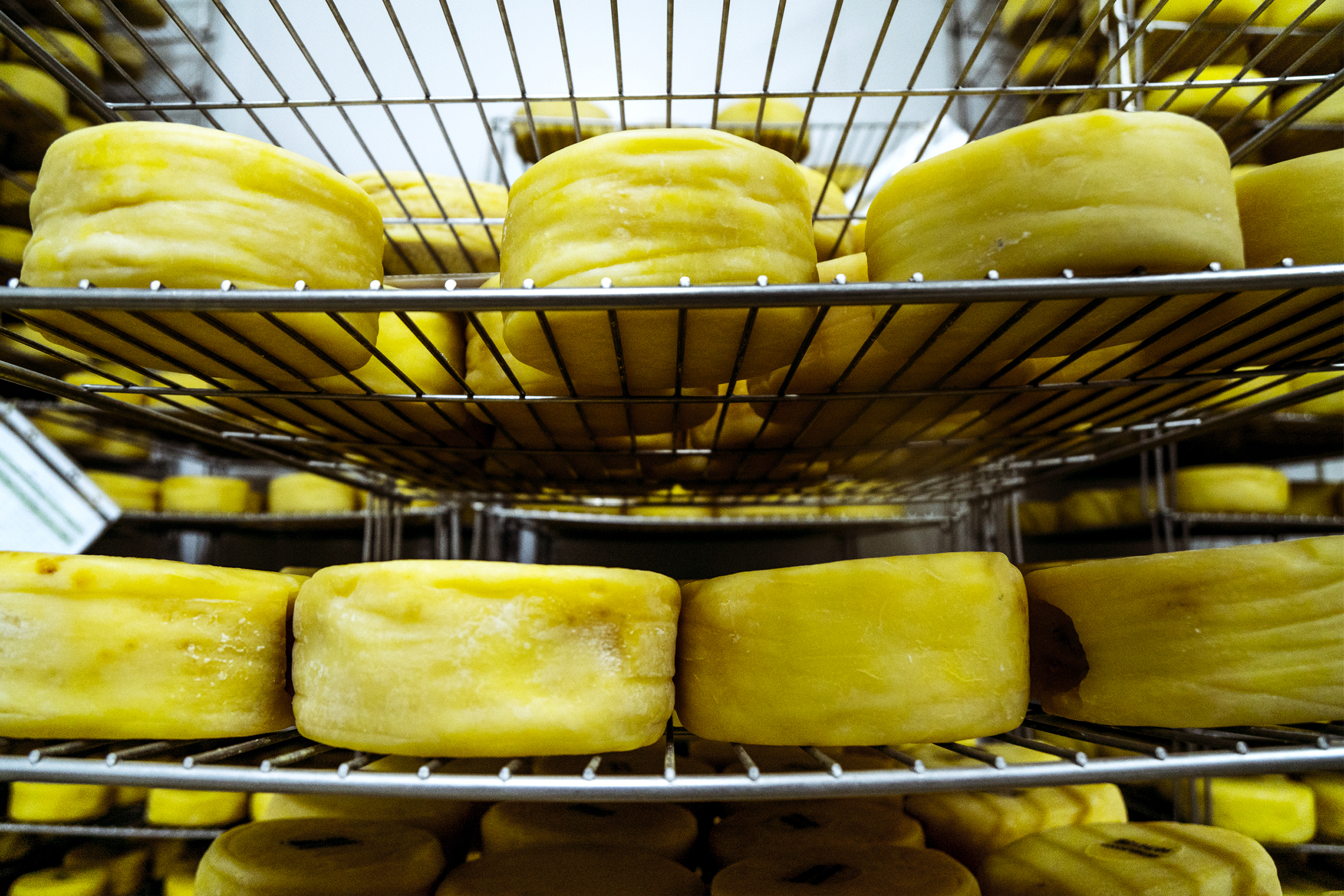 Há queijo e há Porto. E há tudo o resto que a Internet tem para lhe oferecer neste dia 30 de abril