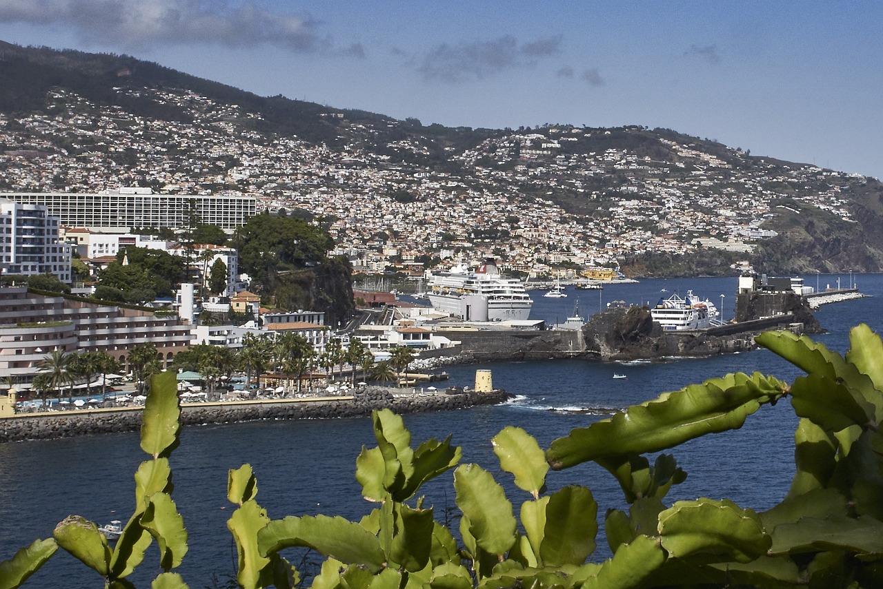 Município do Funchal investe 100 mil euros na primeira edição do Funchal Summer Fest