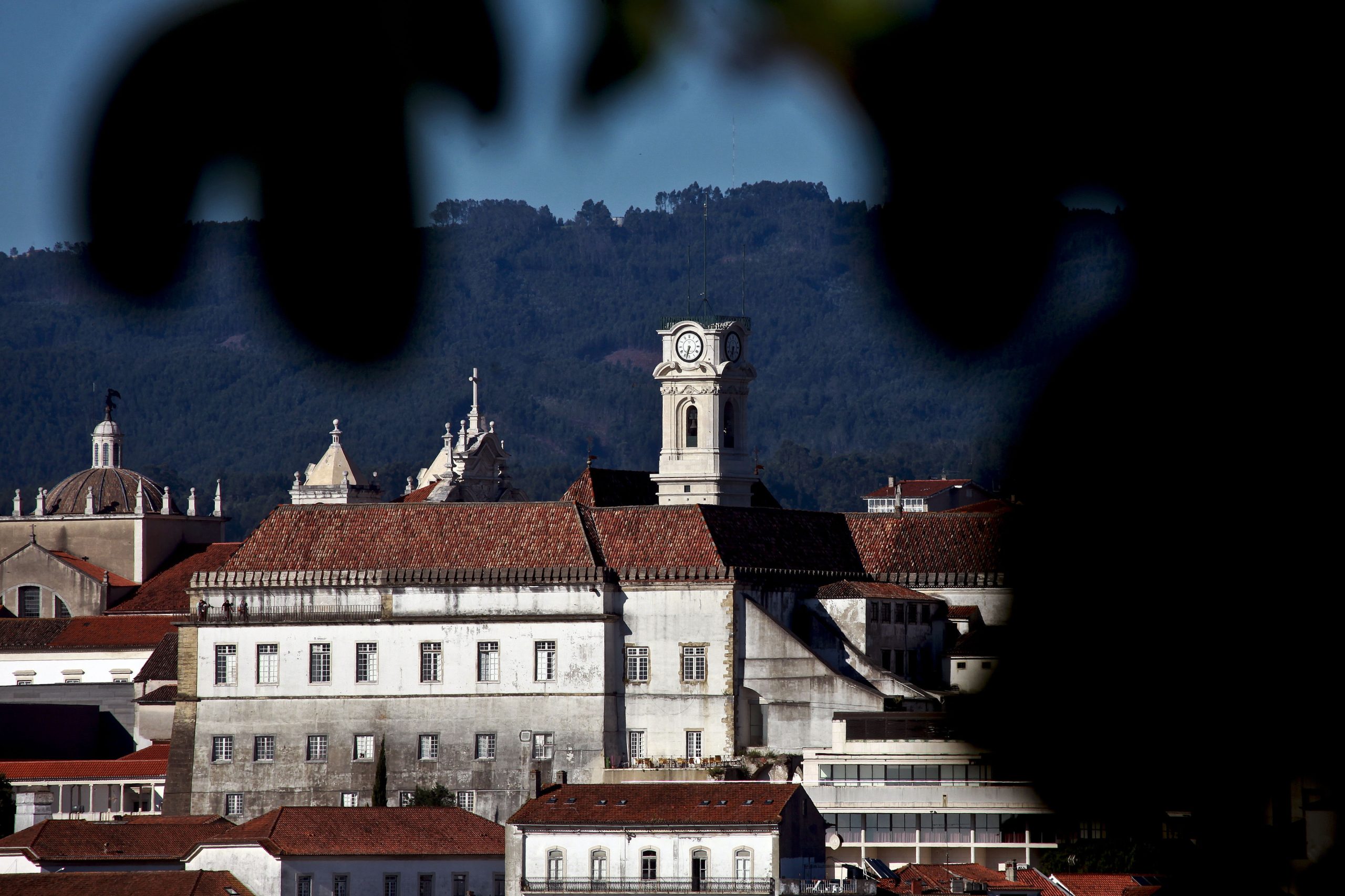 Cientistas de Portugal e Espanha inventam sistema de estudo de impacto ambiental