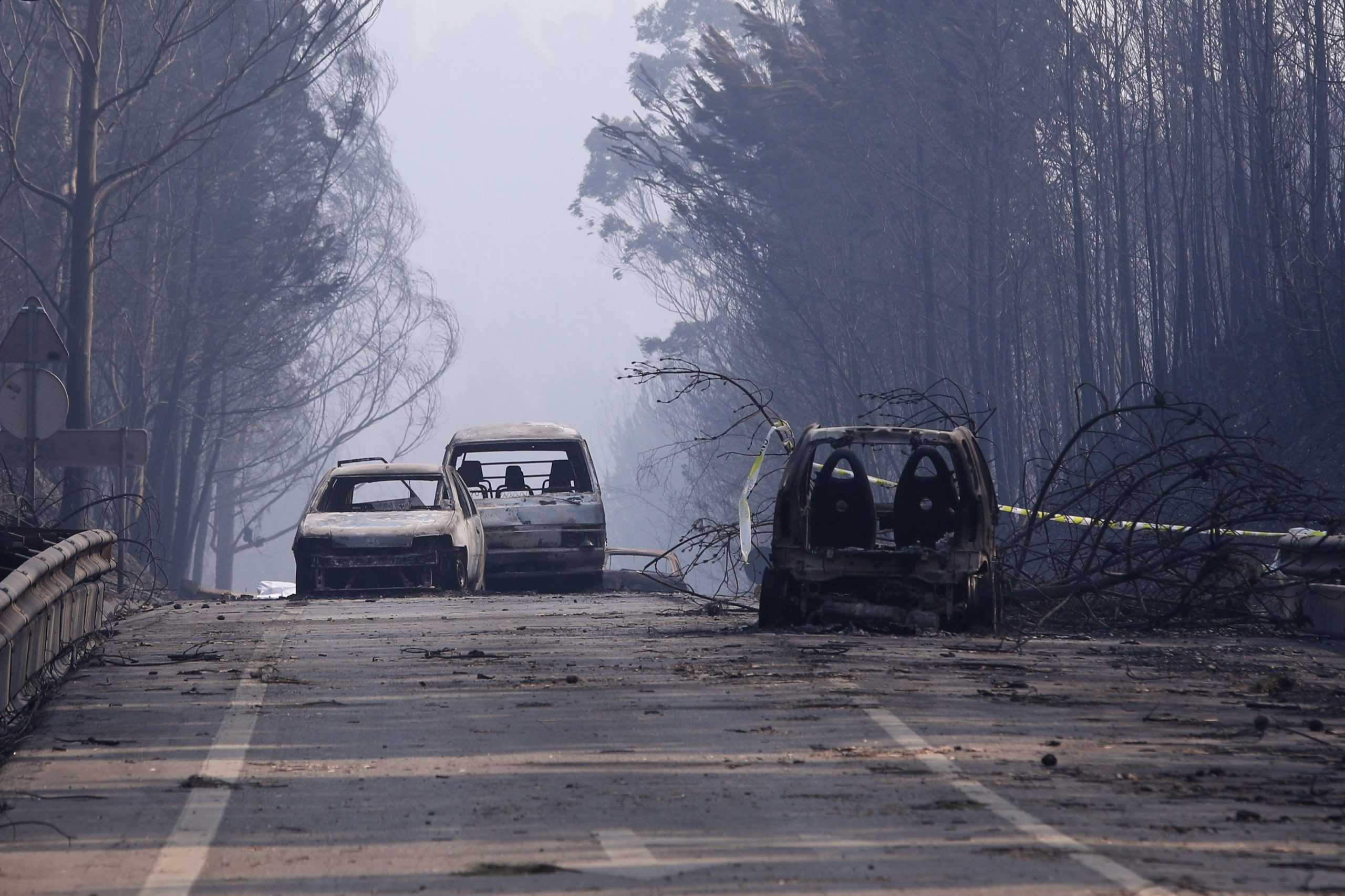 Especialista diz que incêndio que deflagrou em Pedrógão Grande é dos mais graves do mundo
