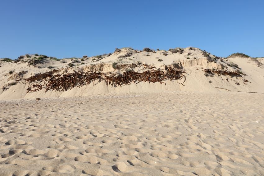 Agitação marítima descobre vestígios de duas antigas armações de pesca no Algarve