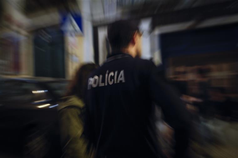 PSP deteve 124 pessoas em operação de combate às redes de crimes contra património