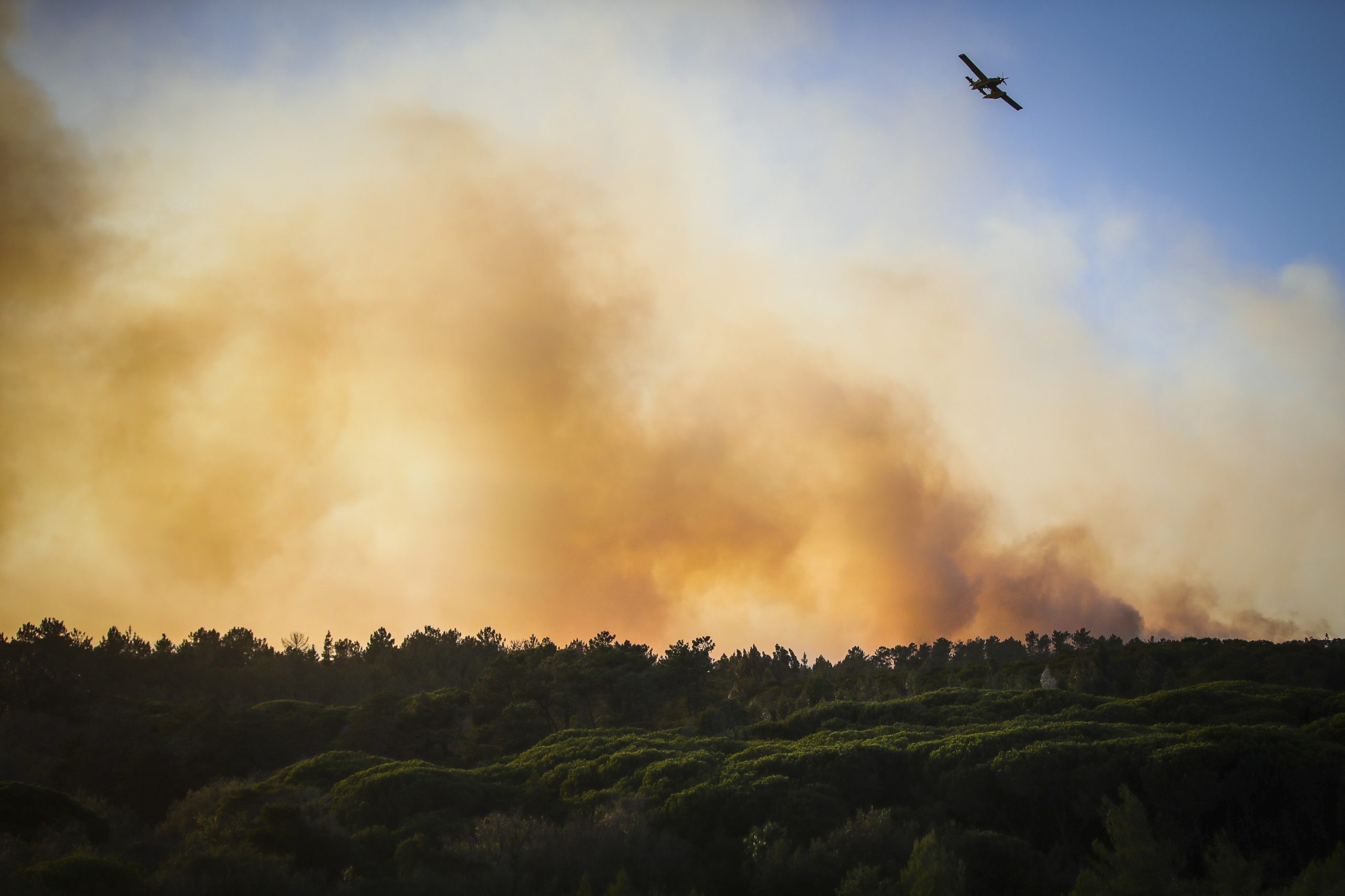 Parque Natural Sintra-Cascais interditado no domingo devido a risco de incêndio