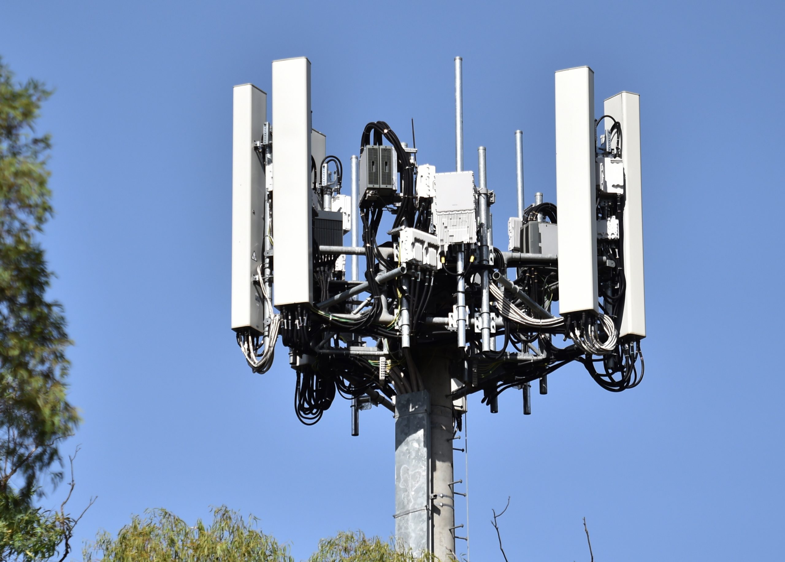 5G: Secretário de Estado das Comunicações diz que há condições para retomar processo