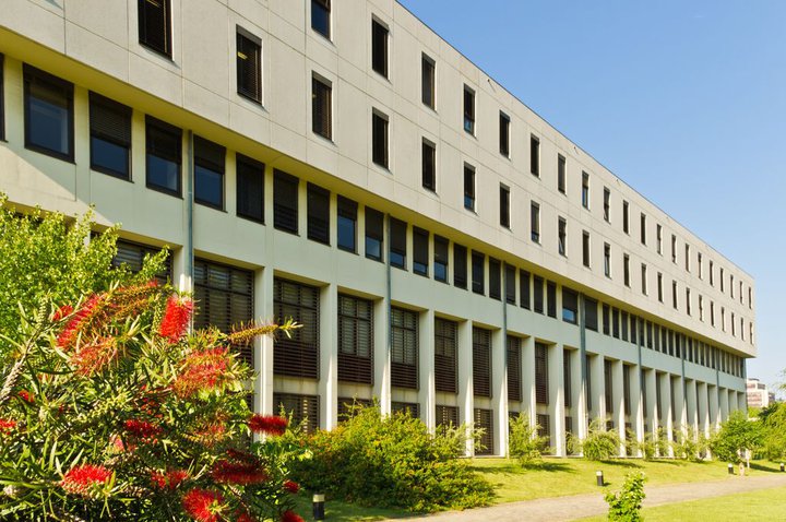 Projeto testa inteligência artificial no diagnóstico precoce do cancro gástrico