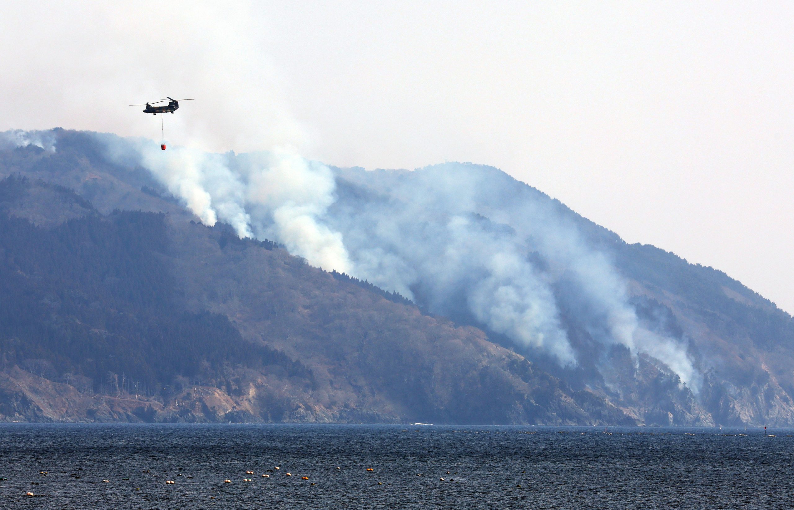 Incêndios no Japão obrigam à retirada de duas mil pessoas. São os piores desde 1992
