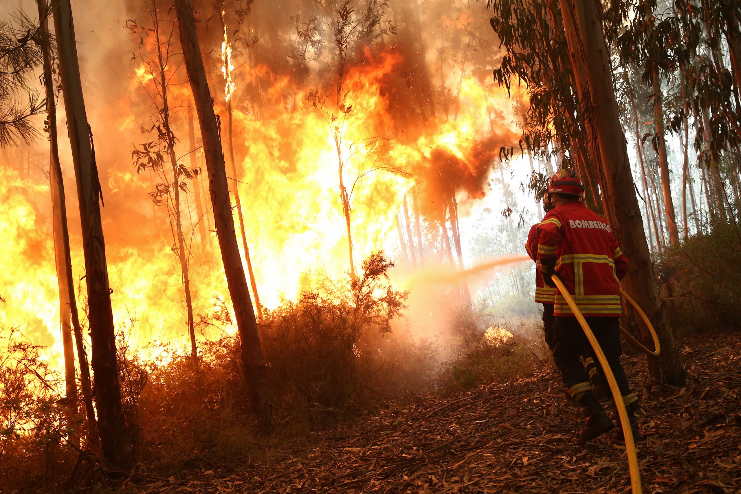 Homem morre de paragem cardíaca após incêndio em Ferreira do Alentejo