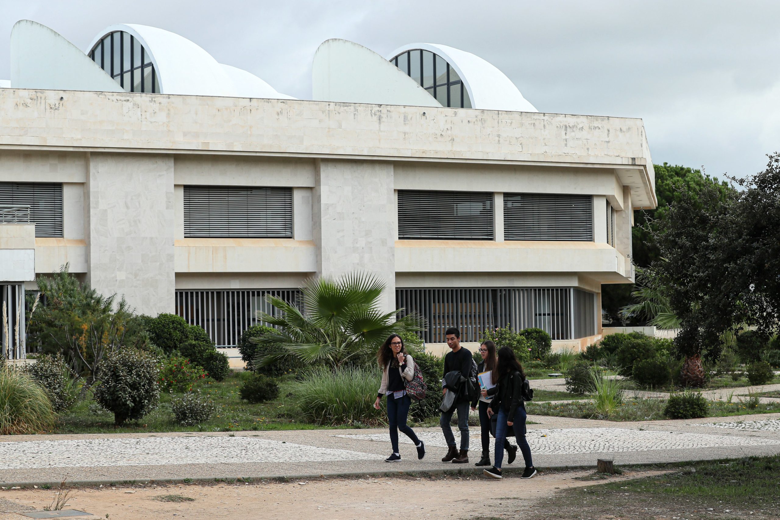 Candidaturas à Bolsa Universitária de Mérito APIFARMA decorrem até dia 31 de Agosto