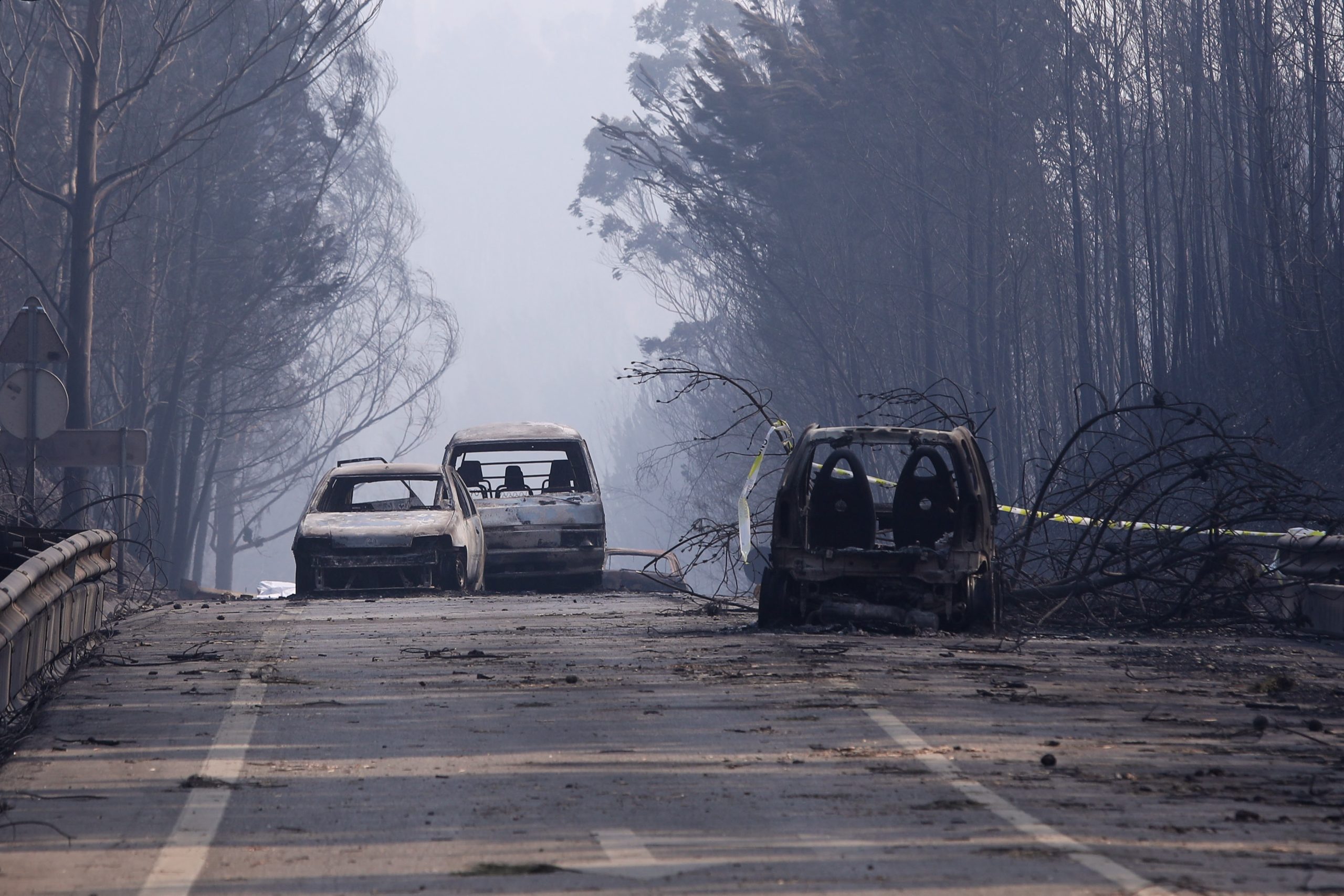 Presidente da República lembra vítimas do incêndio de Pedrógão Grande há 8 anos