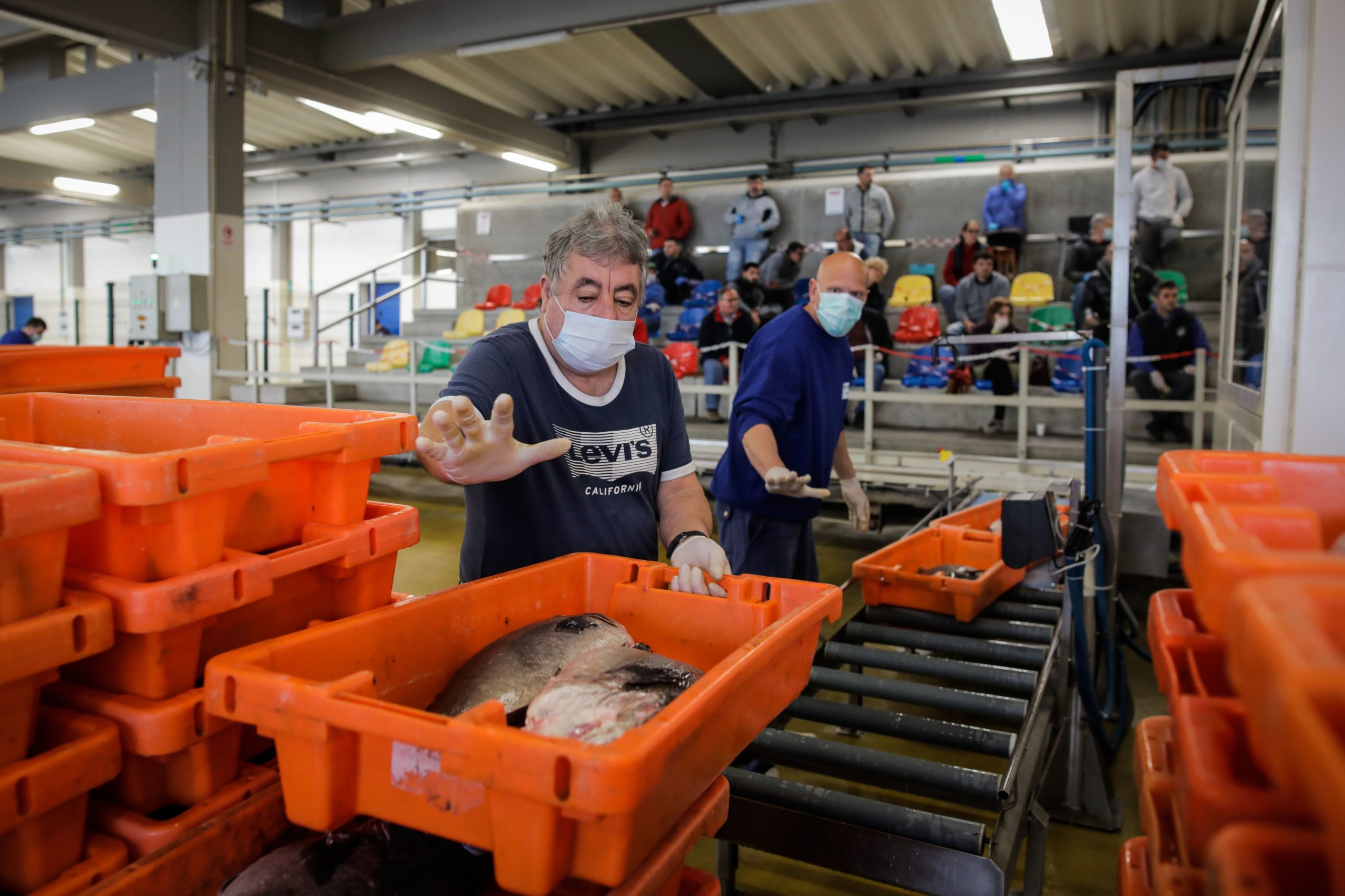 Trabalhadores da Docapesca marcaram greve para 8 de setembro