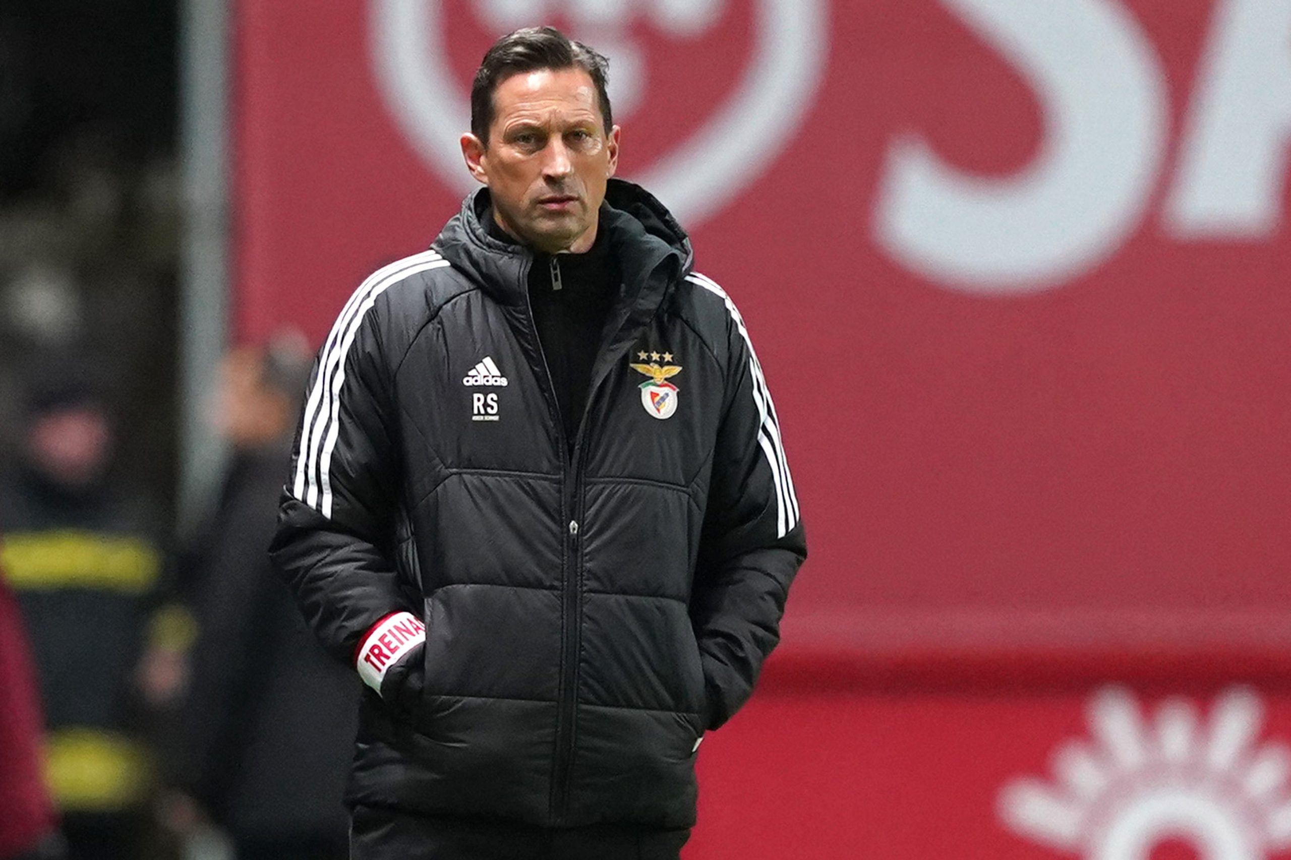 Roger Schmidt: “Contratação de Gonçalo Guedes foi grande oportunidade para o Benfica”