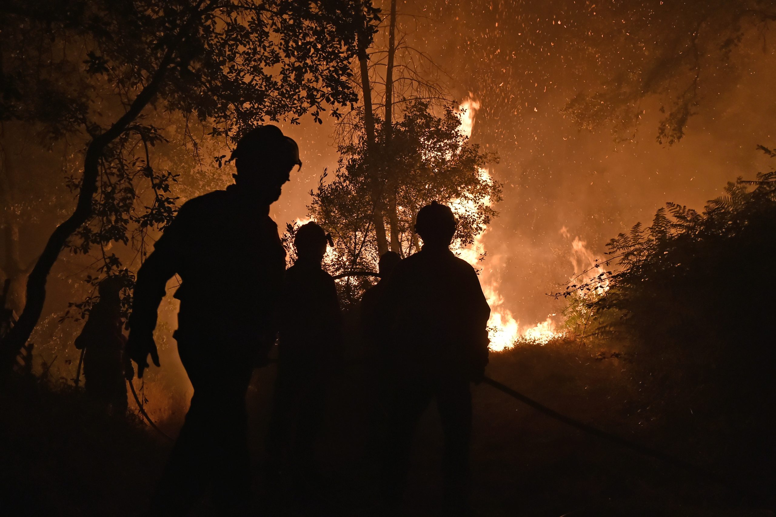 Trabalhos da Comissão Sub-regional de Gestão de Fogos da Região de Leiria suspensos