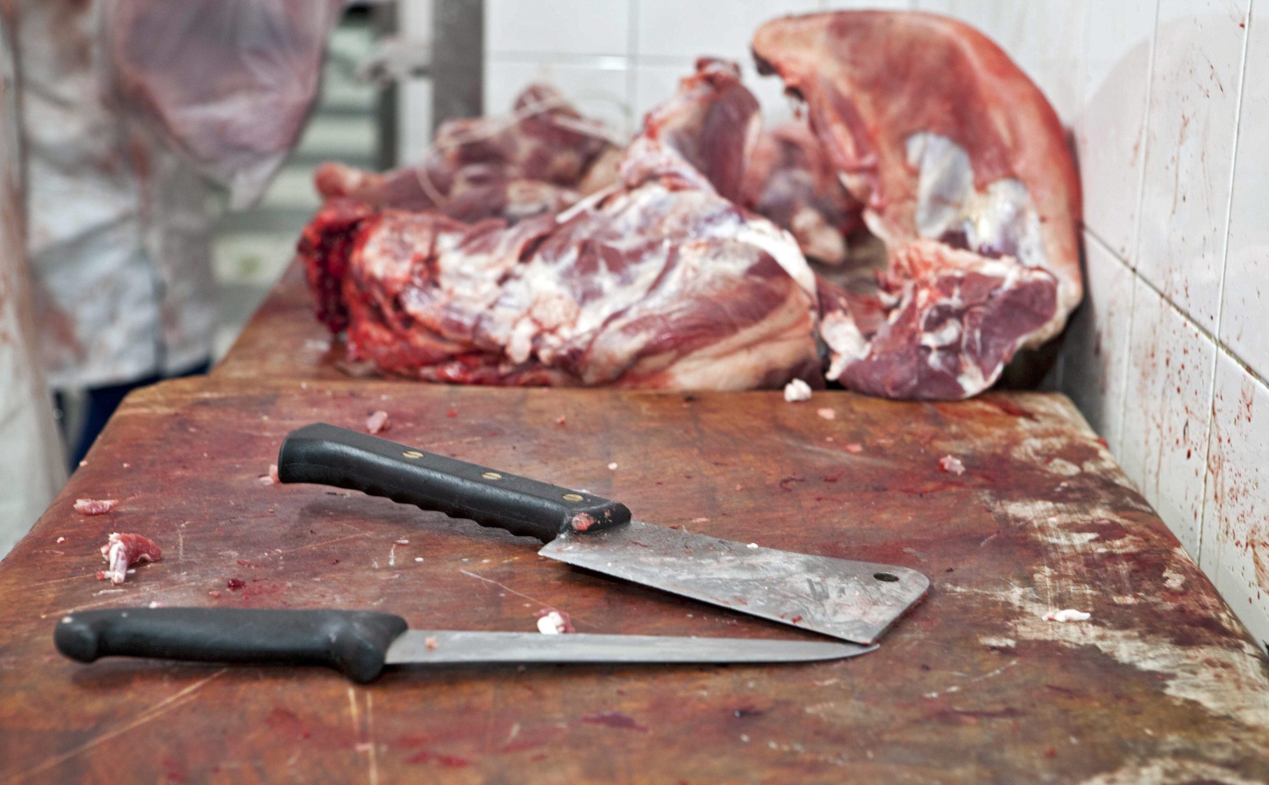 Portugueses consomem 4,4 vezes mais carne, ovos e peixe do que precisam