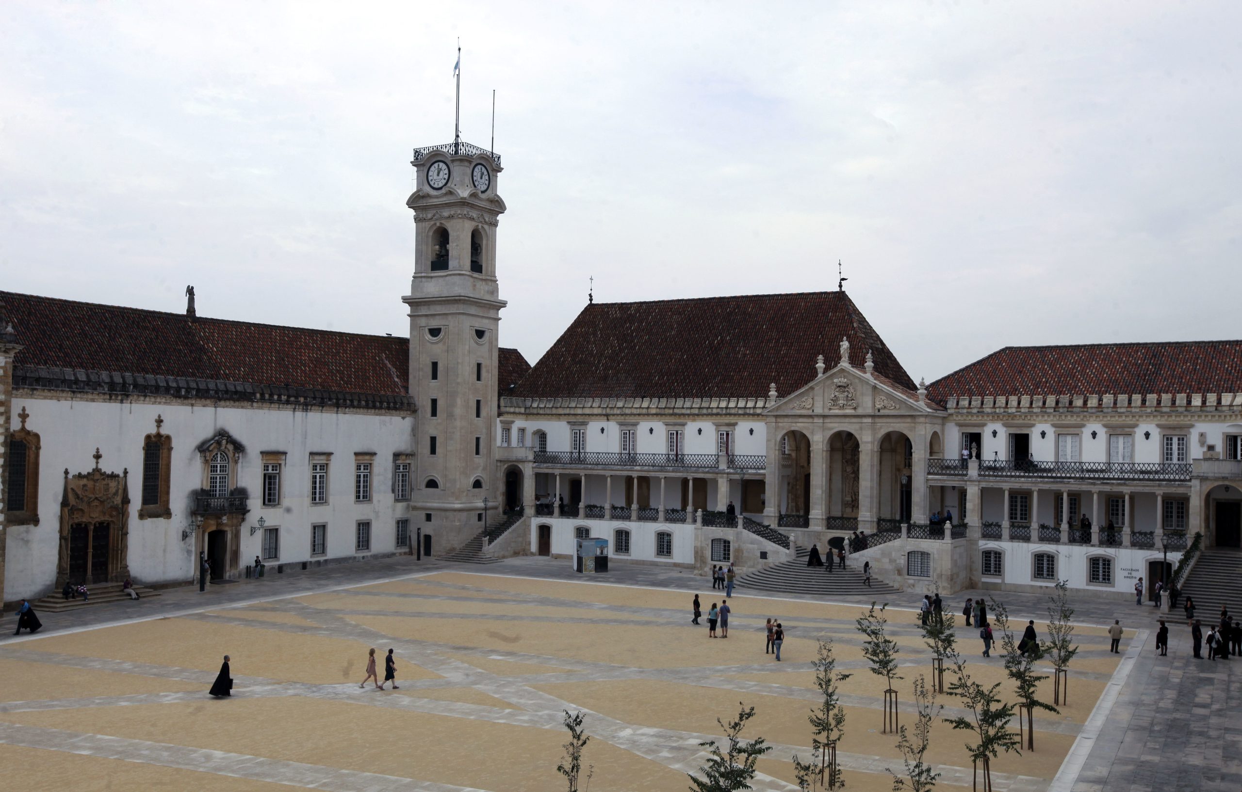 Investigadores da Universidade de Coimbra descobrem mecanismo chave na doença de Batten