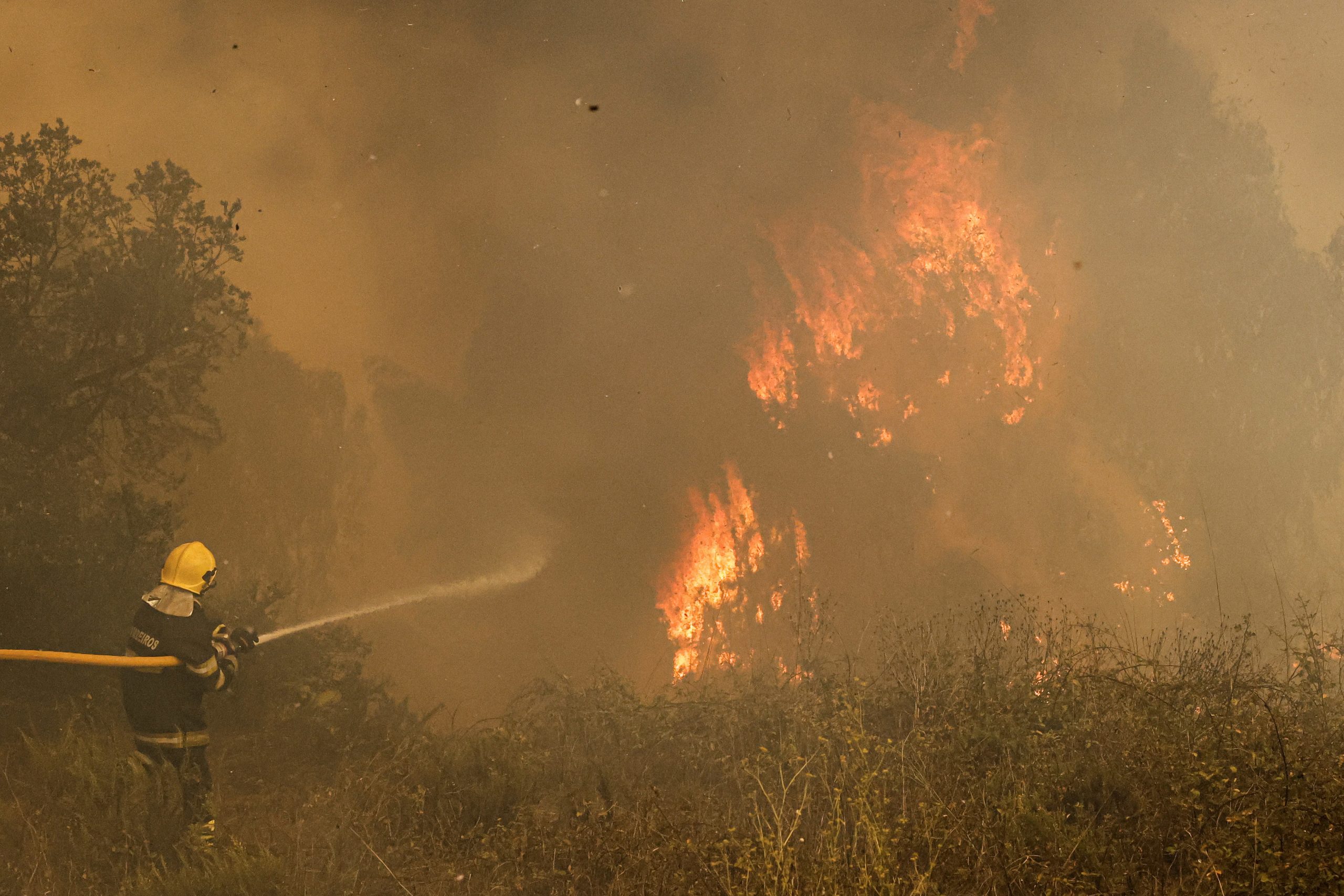 Incêndios: IC5 foi reaberto ao trânsito e Nacional 221 continua cortada em Mogadouro