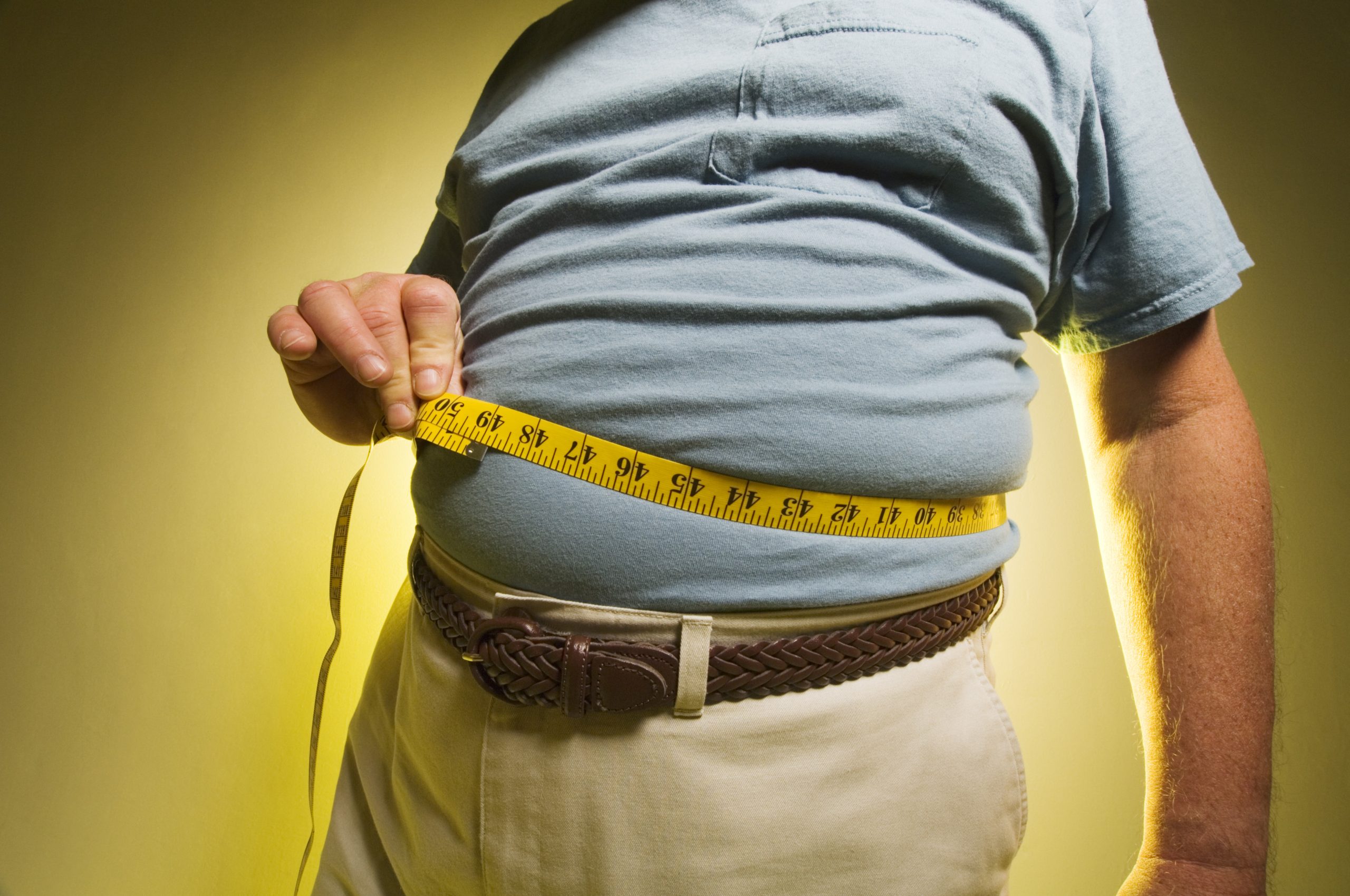 Cientistas descobrem que sistema imunitário contribui para obesidade