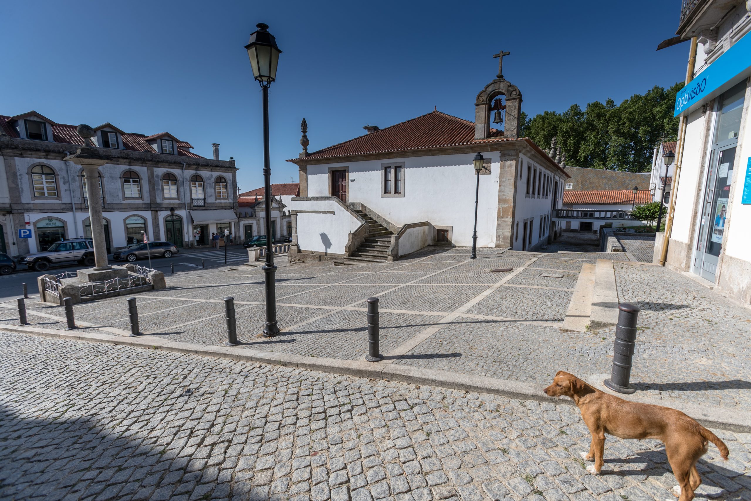 Covid-19: Surto com 42 casos positivos em lar da Misericórdia de Alijó