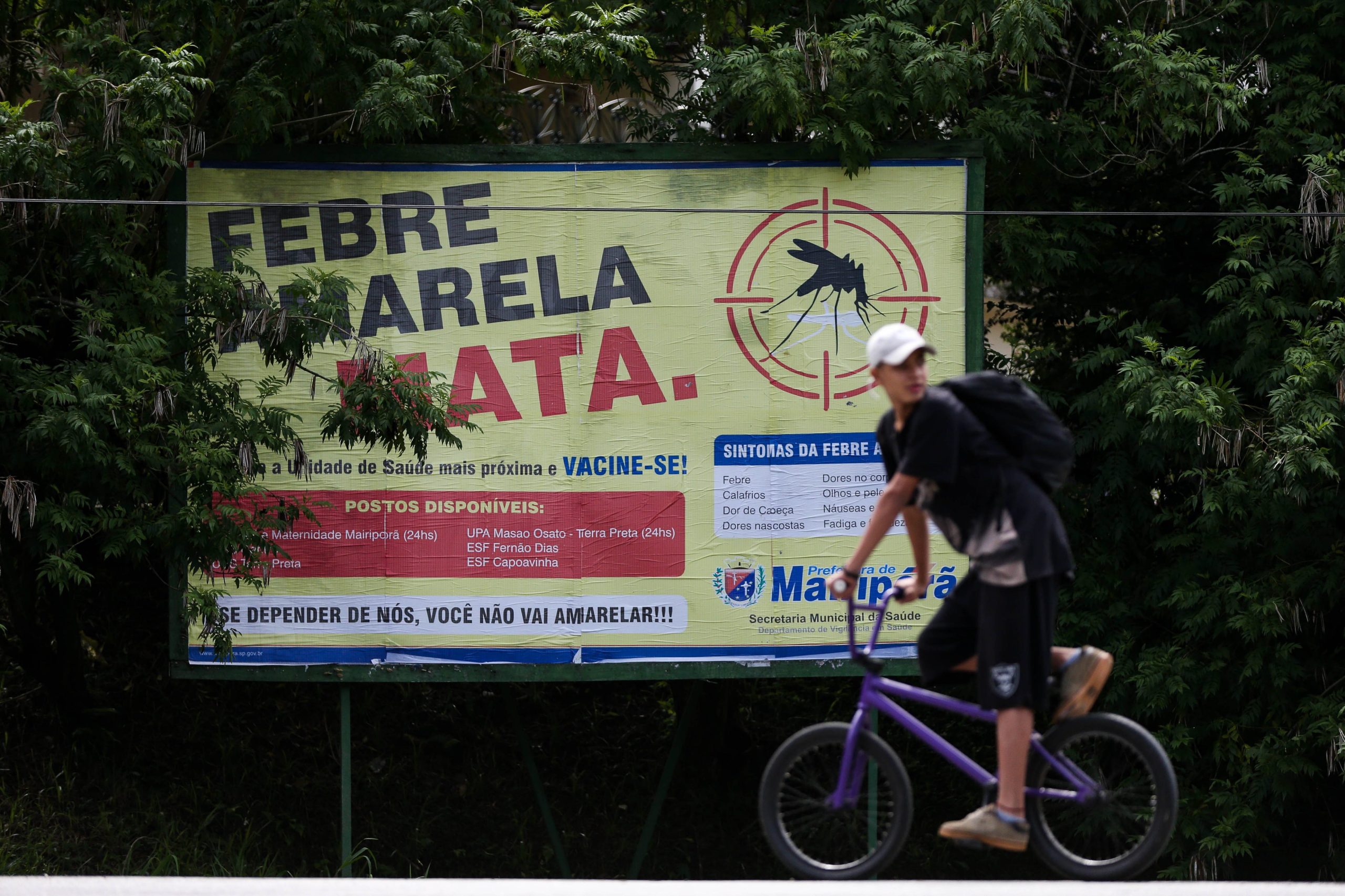Brasil registou 81 mortes por febre-amarela desde julho do ano passado