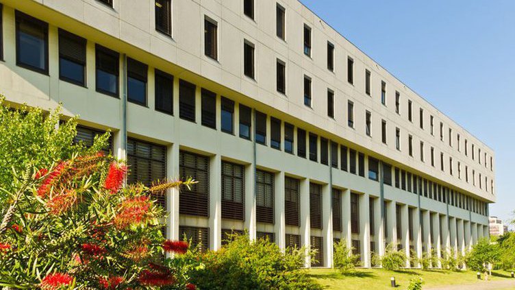 Investigadores testam se bebidas funcionais conseguem prevenir doenças cardiovasculares