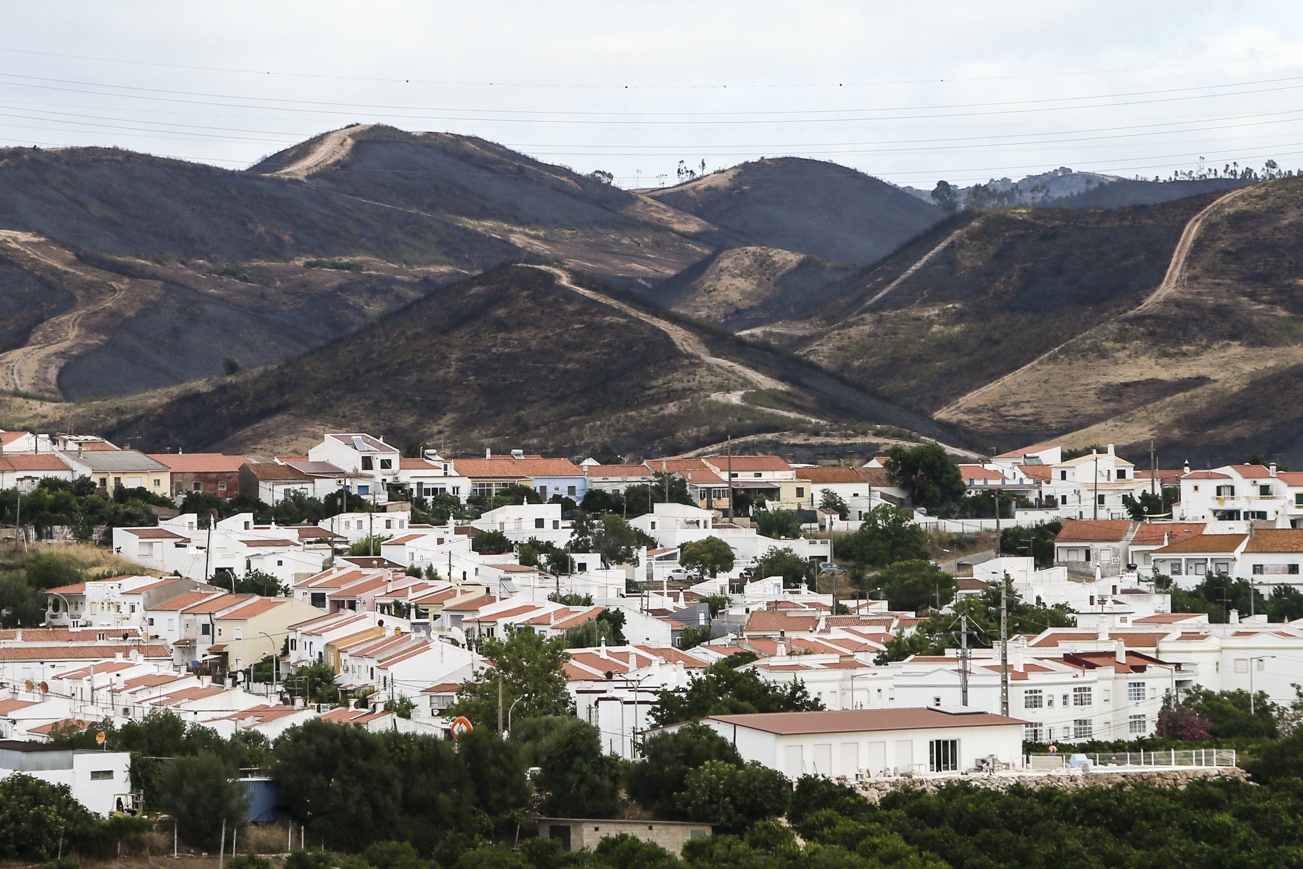 Incêndios. Parlamento pede ao governo que simplifique o apoio às vítimas de Monchique, Silves, Portimão e Odemira